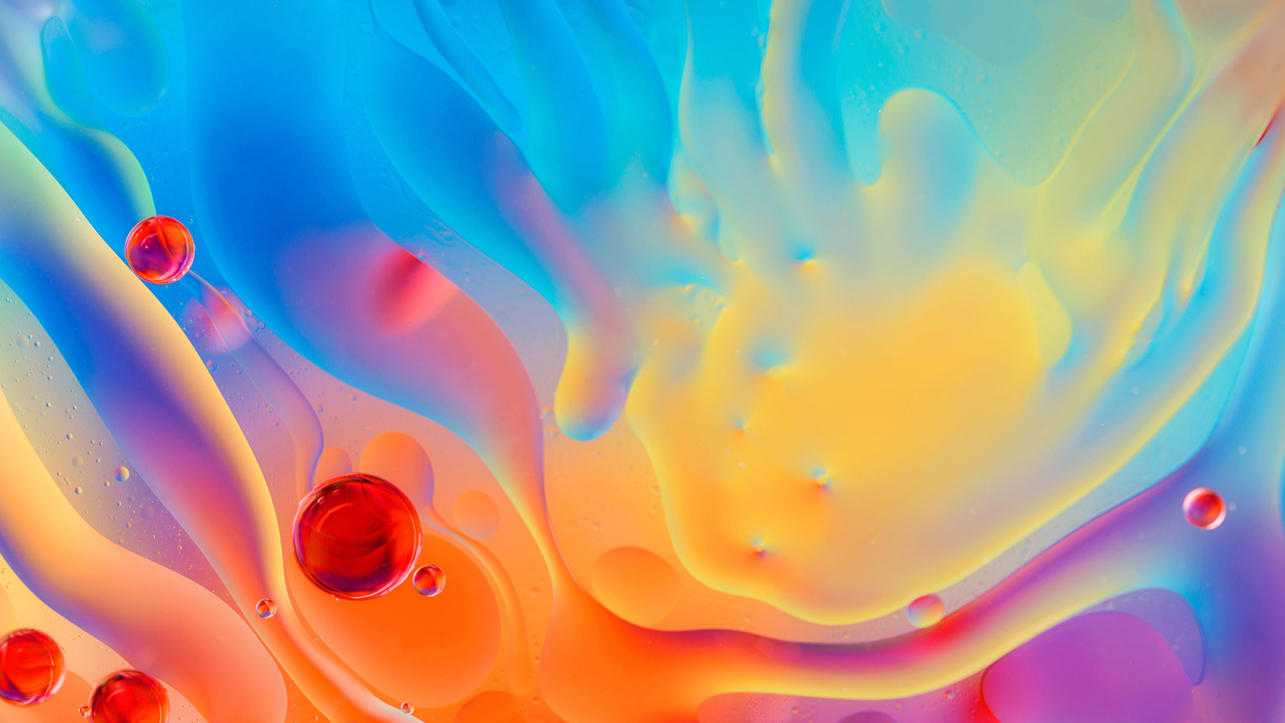Colorful oil and water abstract HD Wallpaper