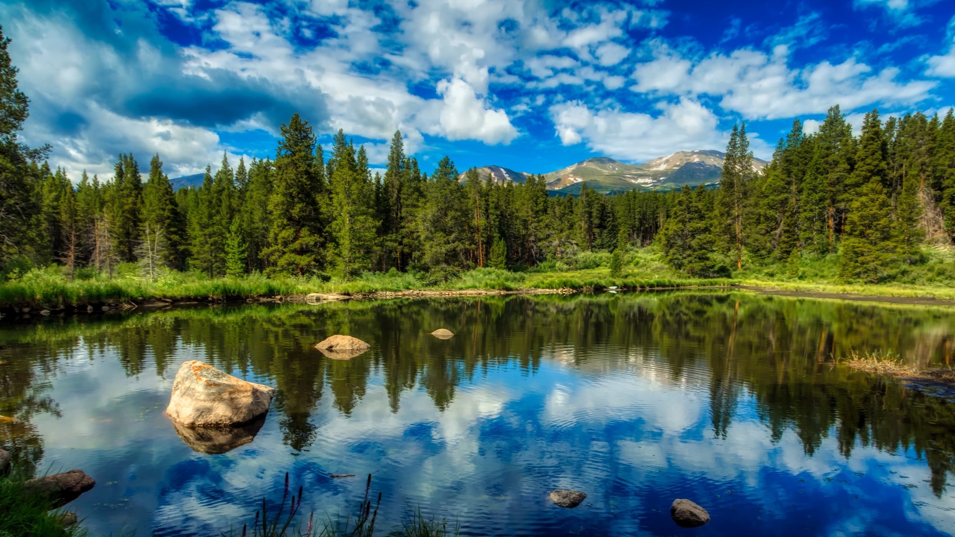 Lake reflecting pine forest and mountains HD Wallpaper