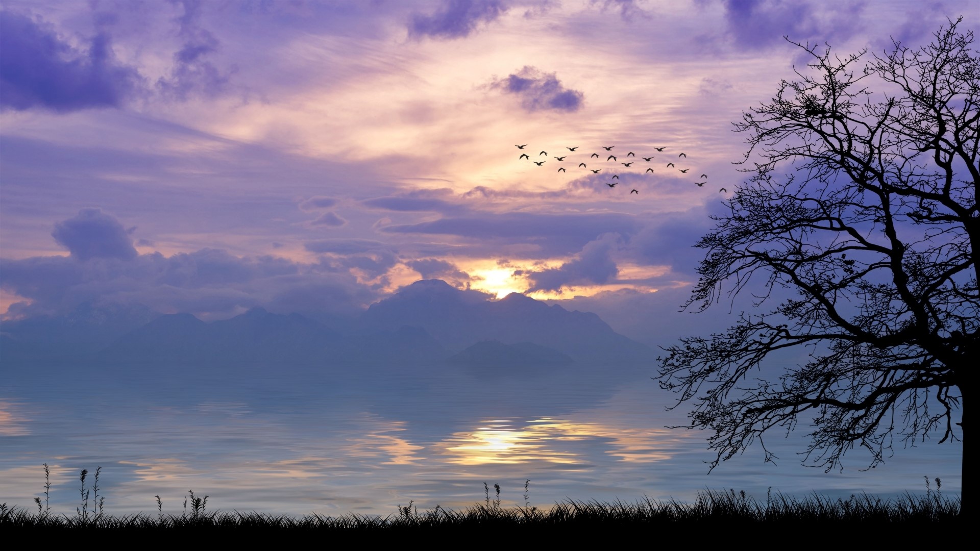 Sunset over mountains with birds and tree HD Wallpaper