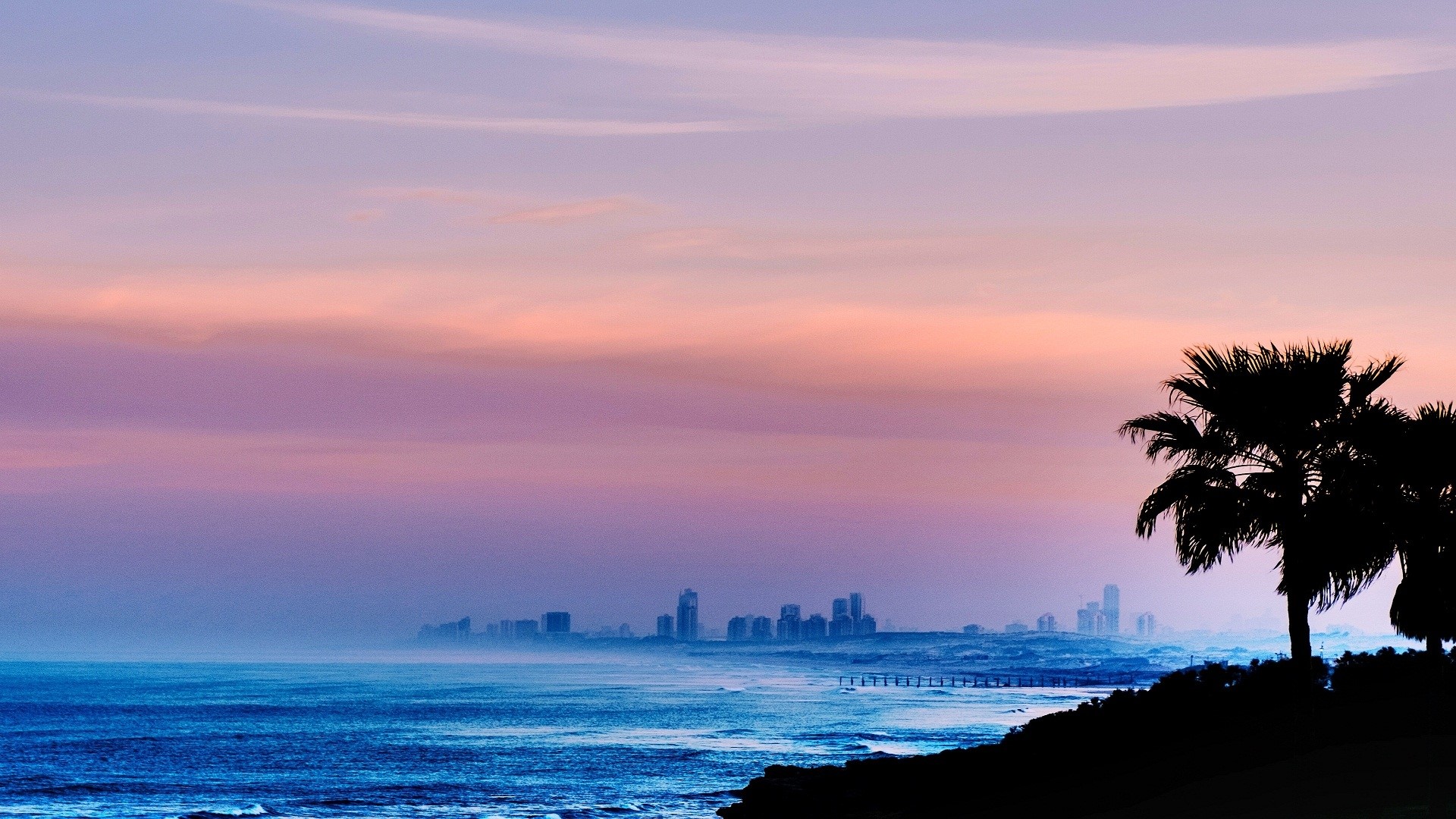 Oceanfront city skyline at sunset with palm trees HD Wallpaper
