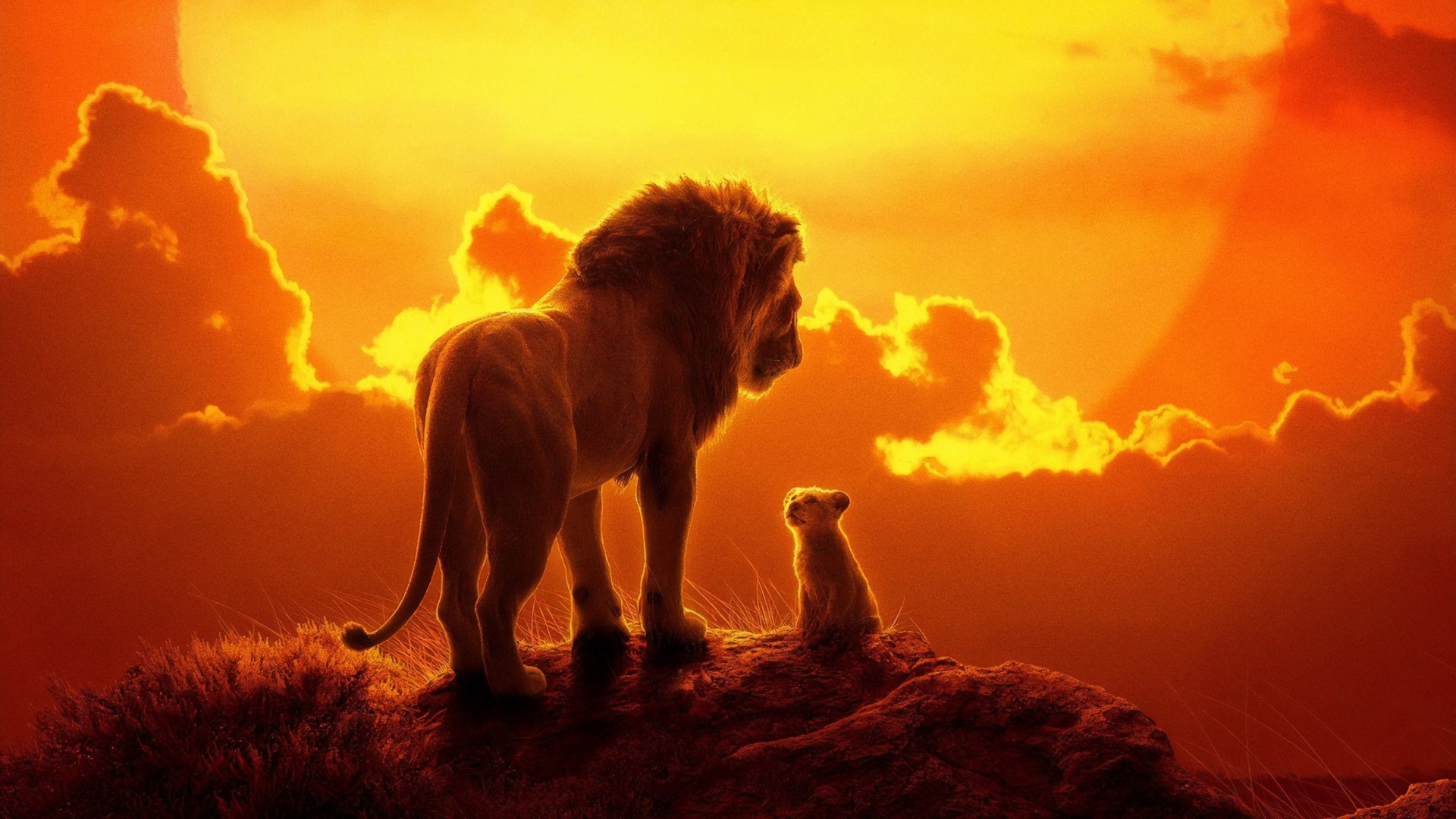 Simba and Nala from The Lion King 2019 HD Wallpaper