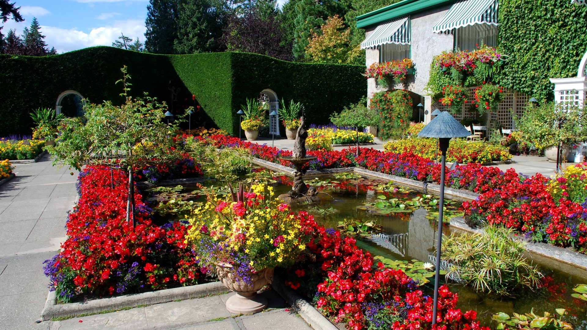 Beautiful garden with pond and flowers HD Wallpaper