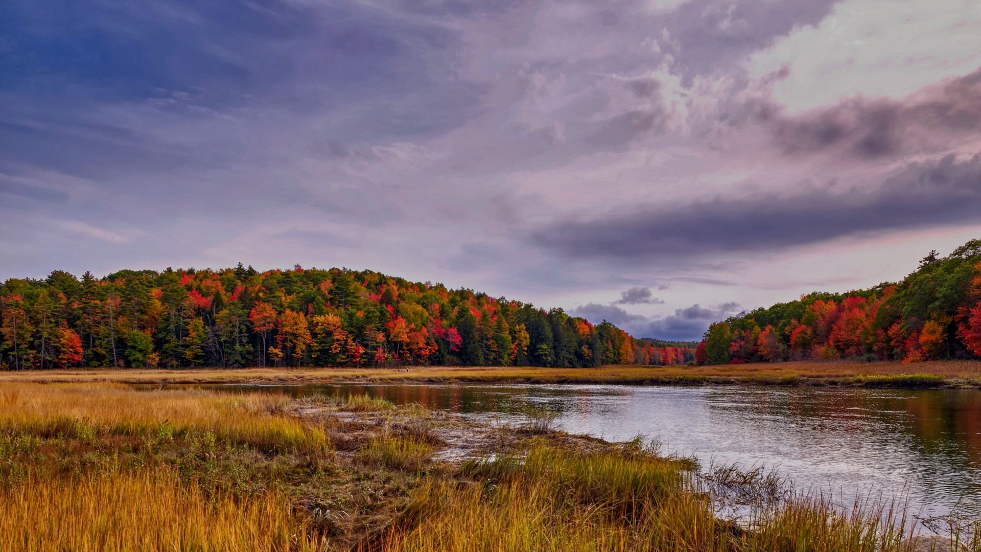 Autumn forest and river under cloudy sky HD Wallpaper