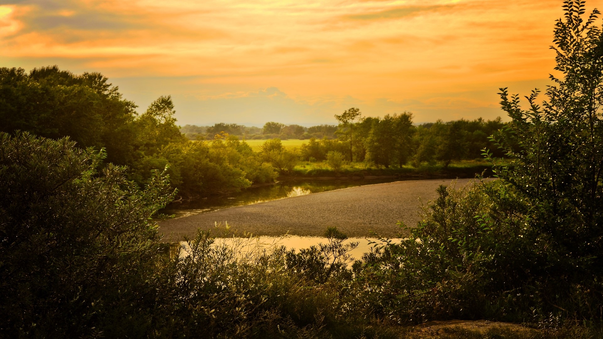 Riverbank with trees and sunset sky HD Wallpaper