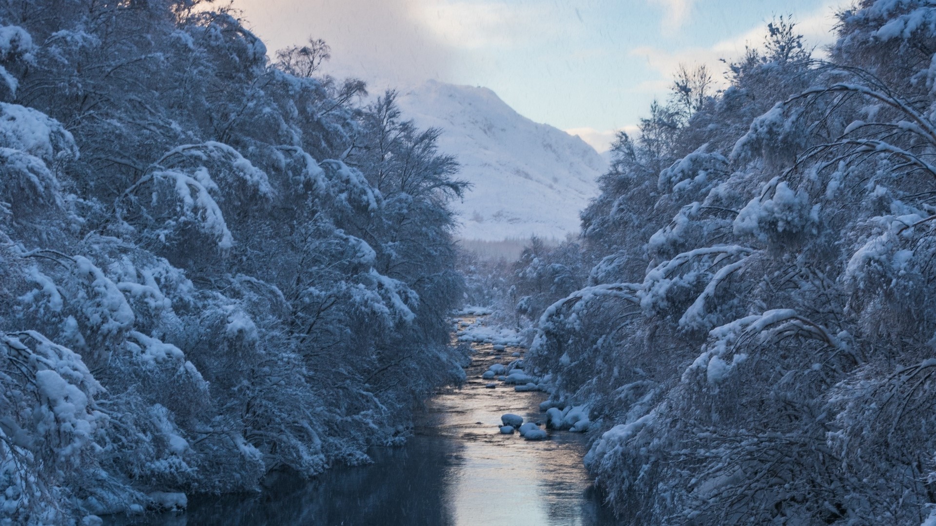 Snow-covered trees line a river with a mountain in the background HD Wallpaper