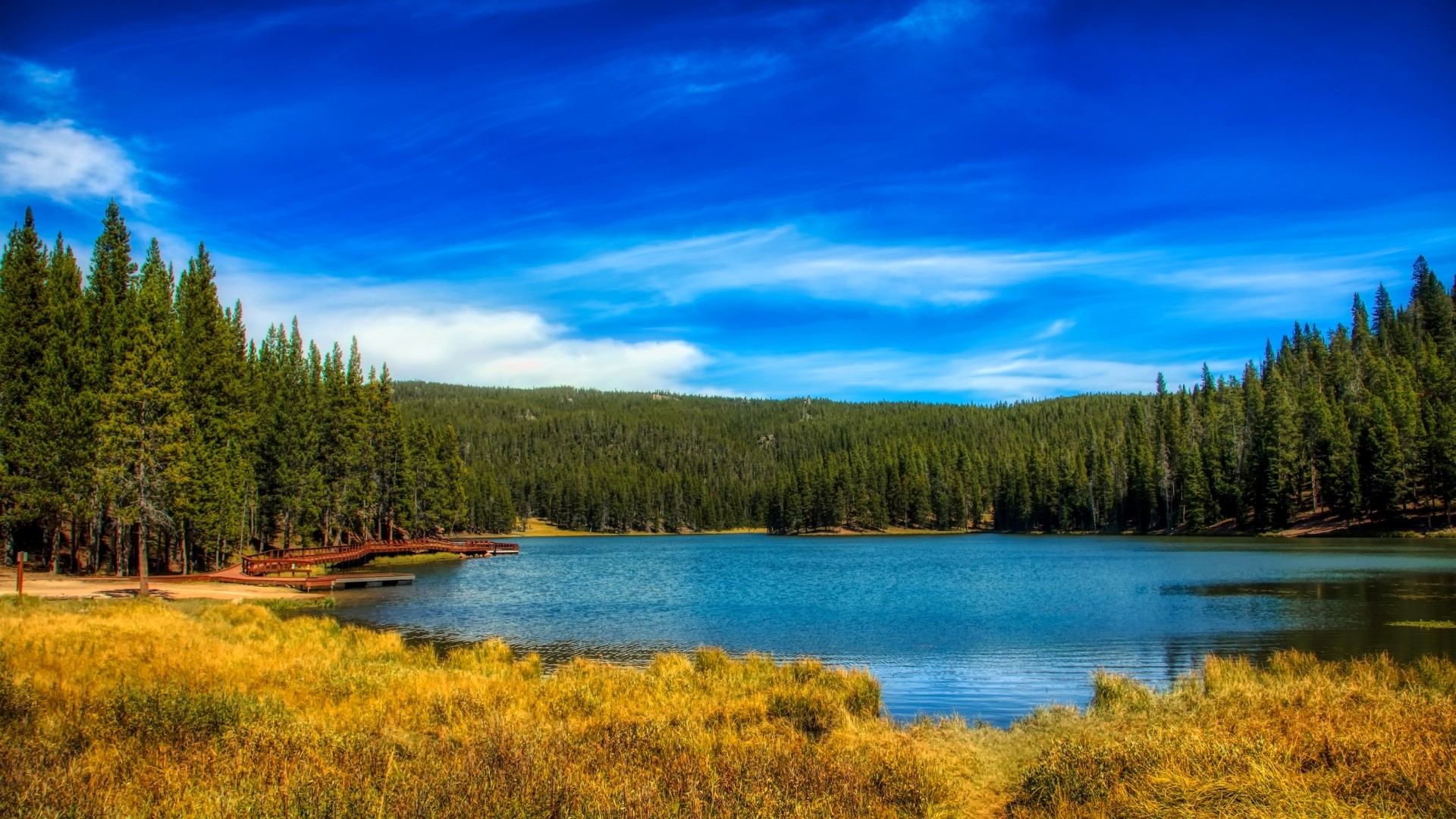 Lake surrounded by pine trees under a blue sky HD Wallpaper