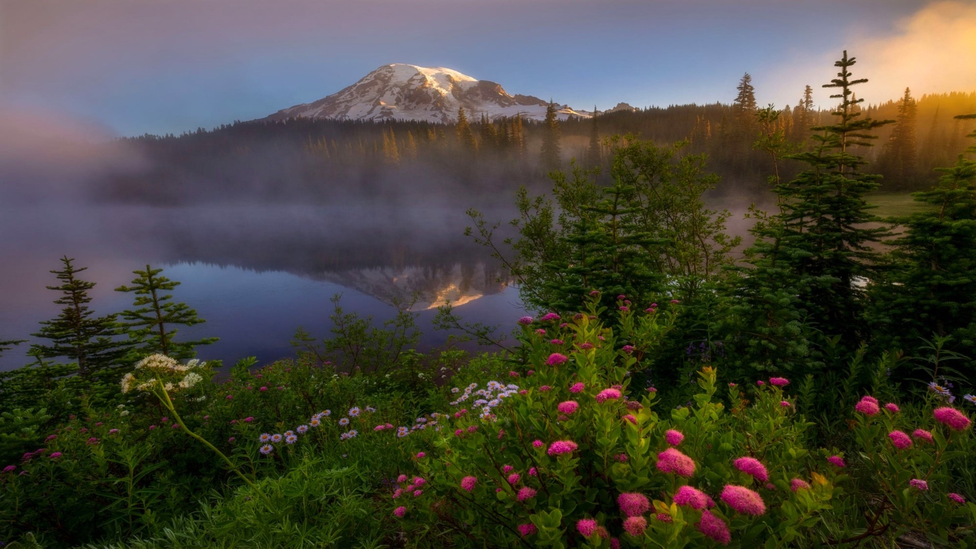 Mountain lake with flowers and trees HD Wallpaper