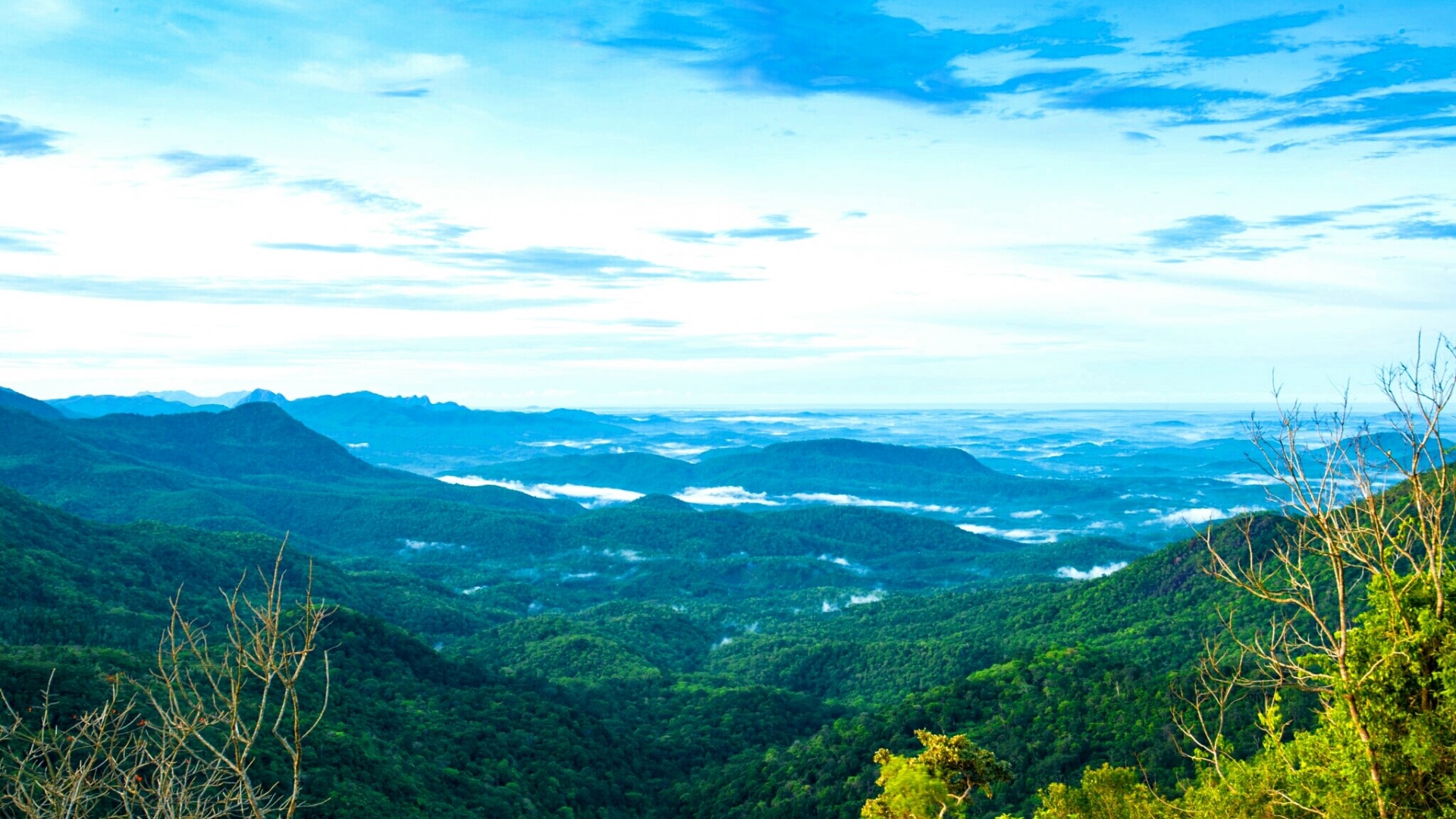 Mountain range with green forest and clouds HD Wallpaper