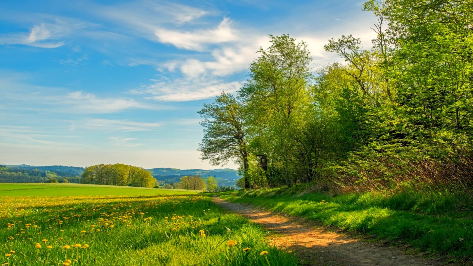 A dirt path winds through a green meadow with yellow flowers and trees under a blue sky. HD Wallpaper