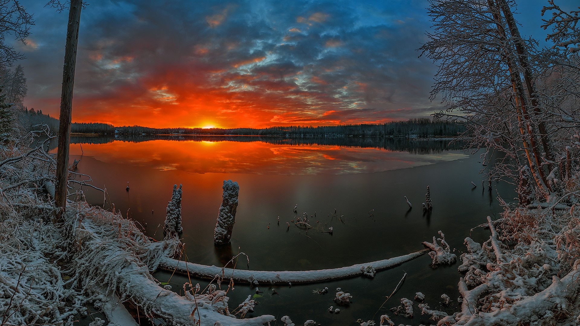 Winter dawn over a frozen lake with snow-covered trees HD Wallpaper