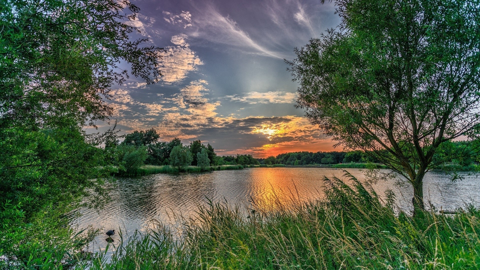 Beautiful sunrise over a lake with trees HD Wallpaper