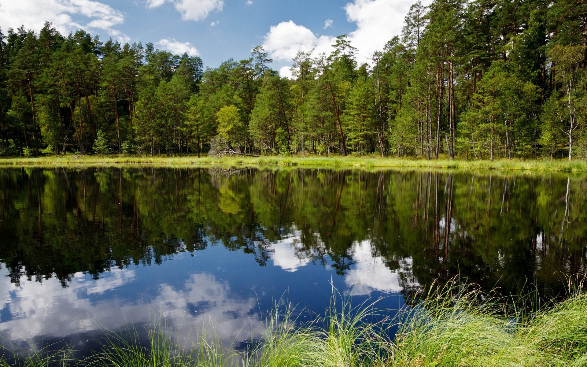 Forest lake with reflections of trees and clouds HD Wallpaper