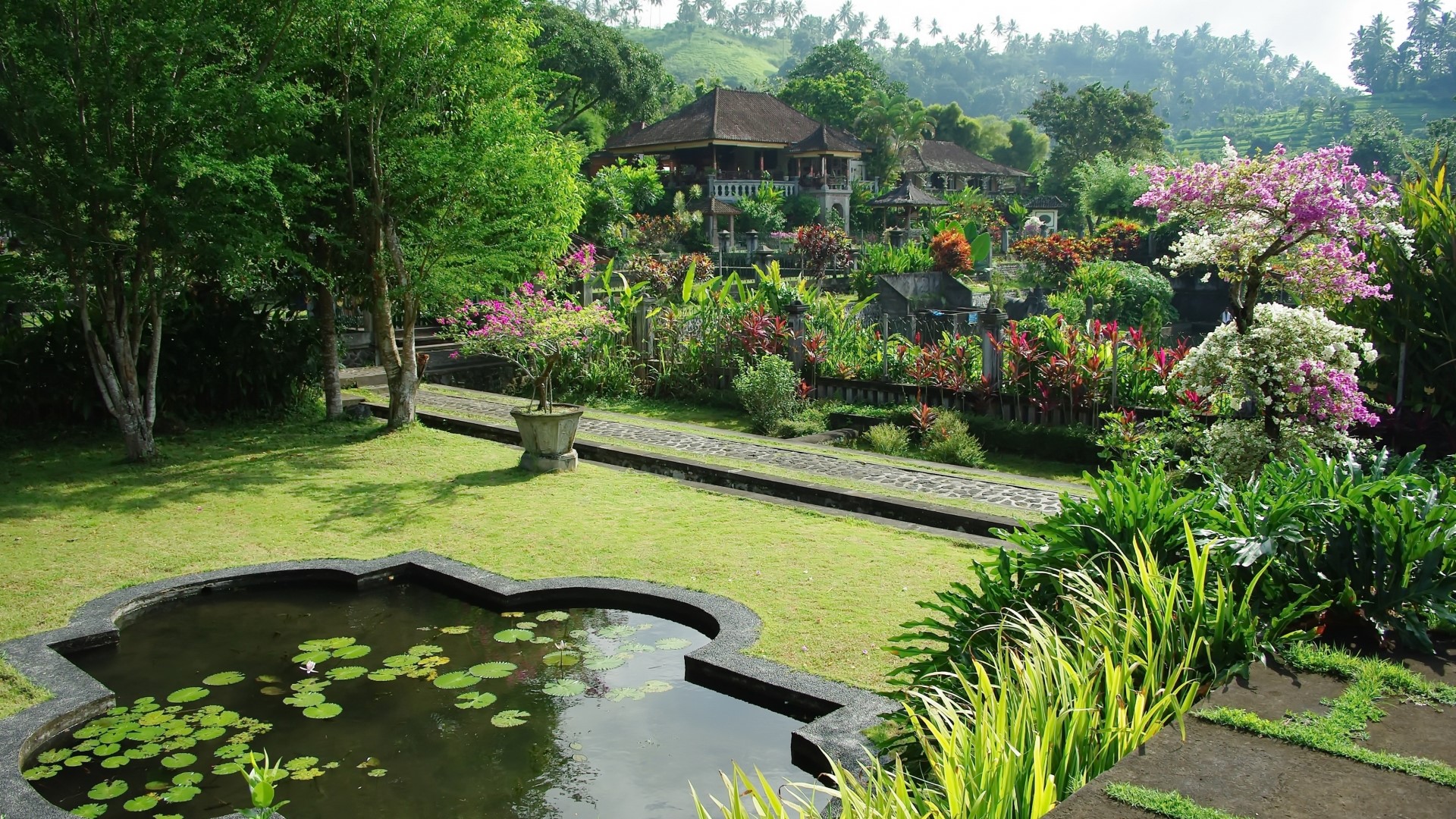 Water lily pond and garden with traditional buildings HD Wallpaper