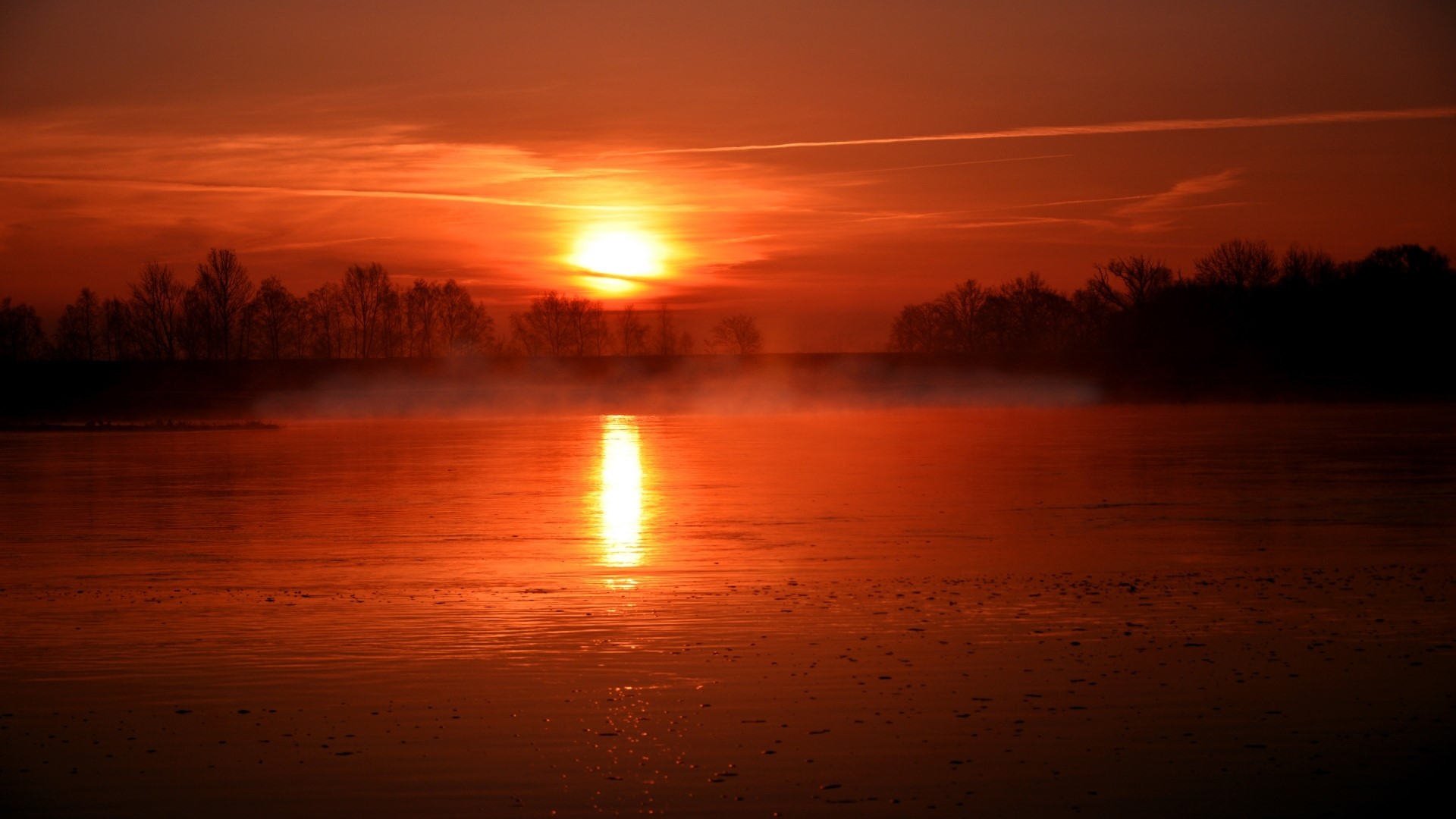 Sunrise over a misty lake with trees HD Wallpaper