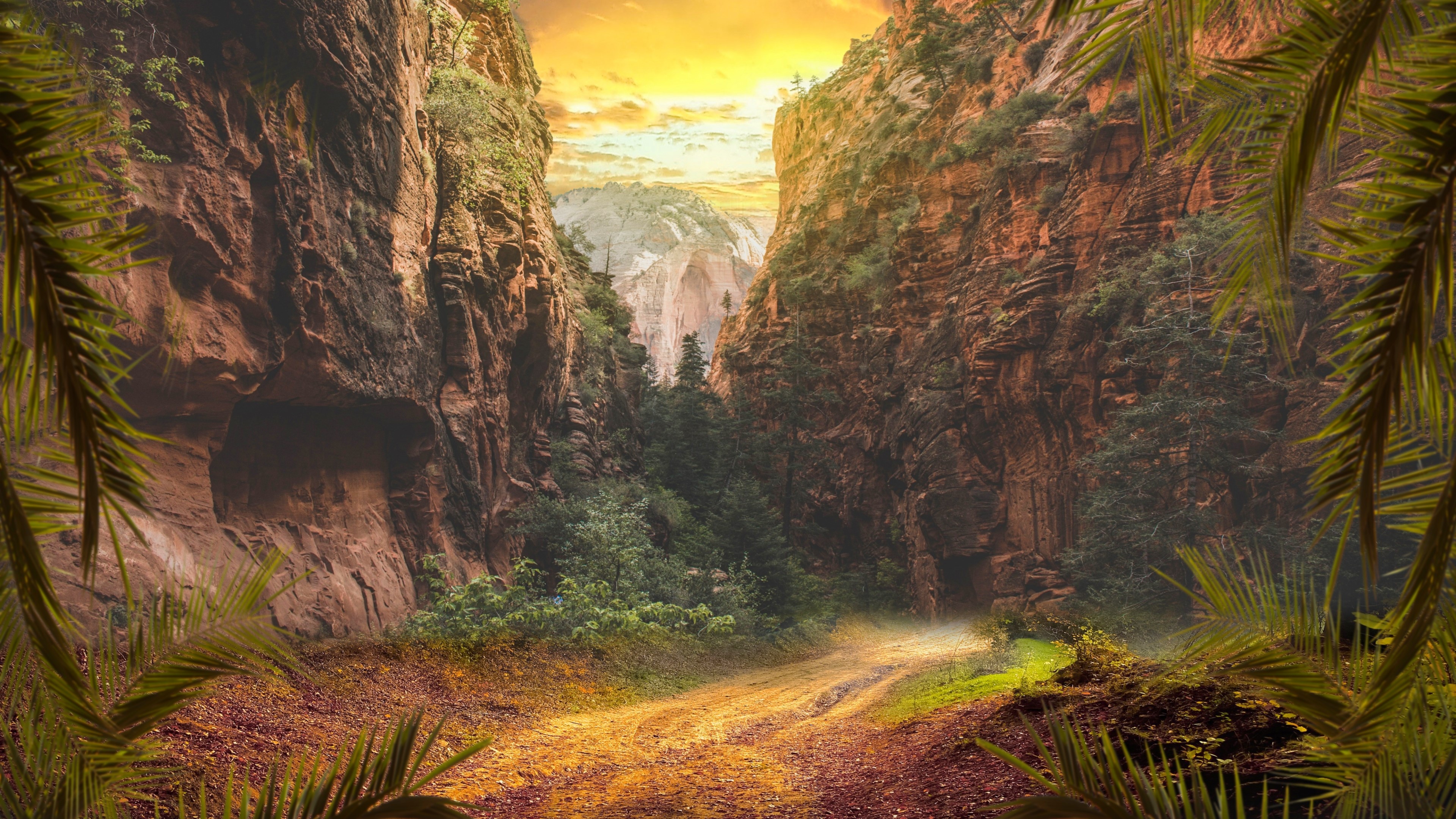 4K mountains and canyon landscape HD Wallpaper