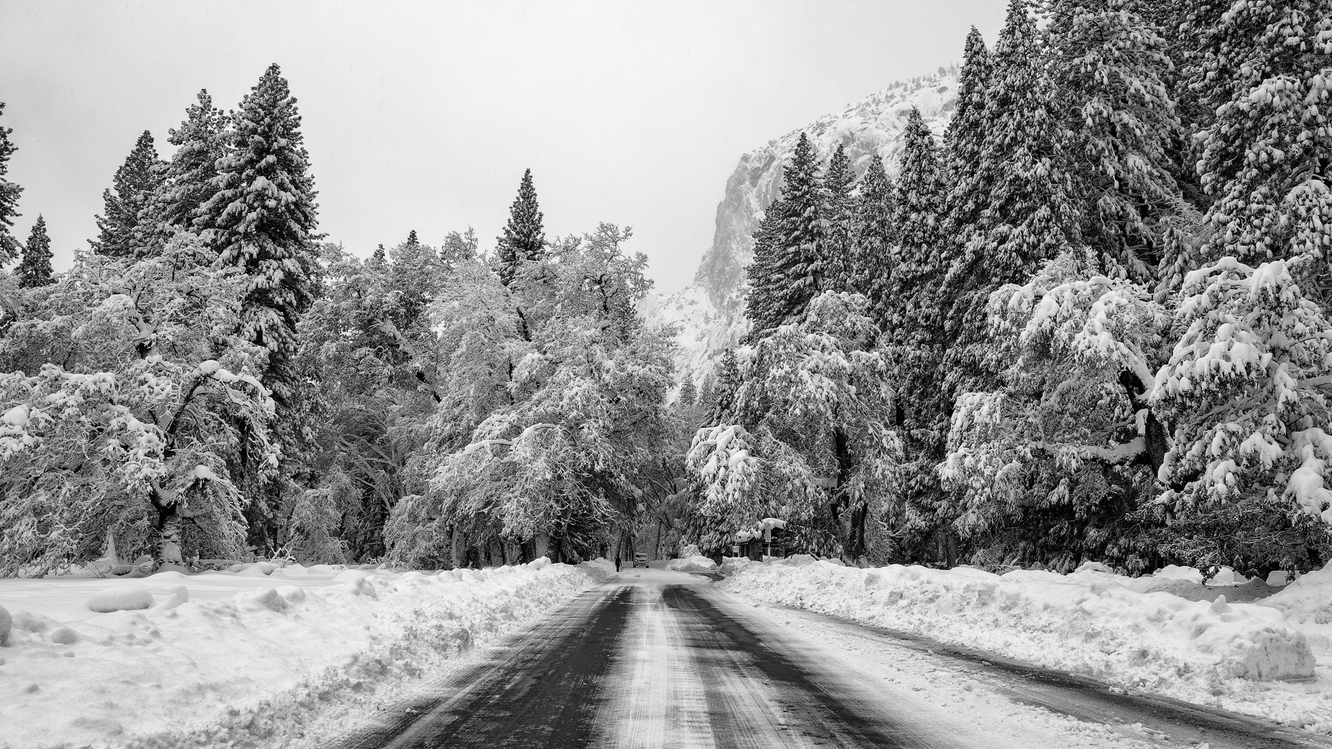 Snow-covered road through a forest in Yosemite Valley HD Wallpaper