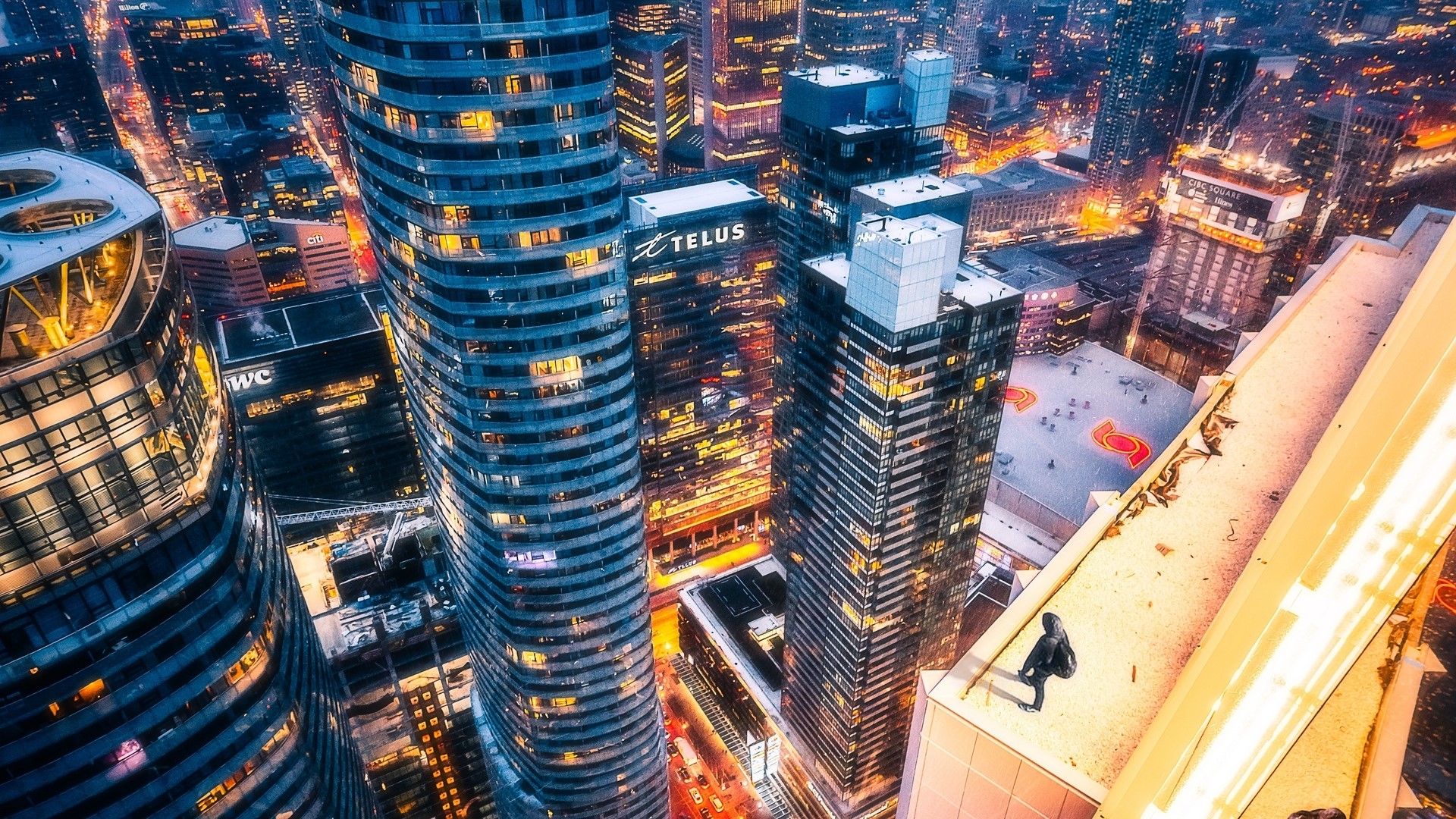 Person on a skyscraper roof in Toronto at night HD Wallpaper
