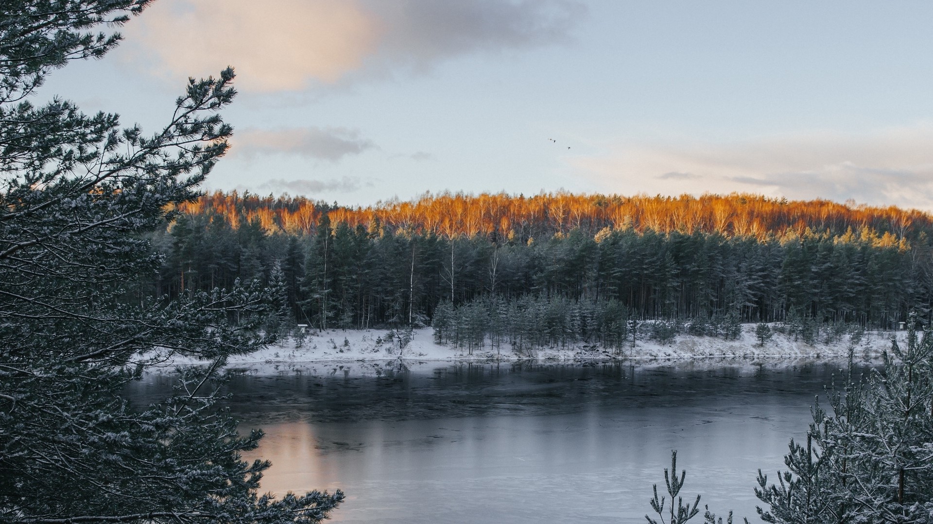 Winter forest and lake at sunset HD Wallpaper