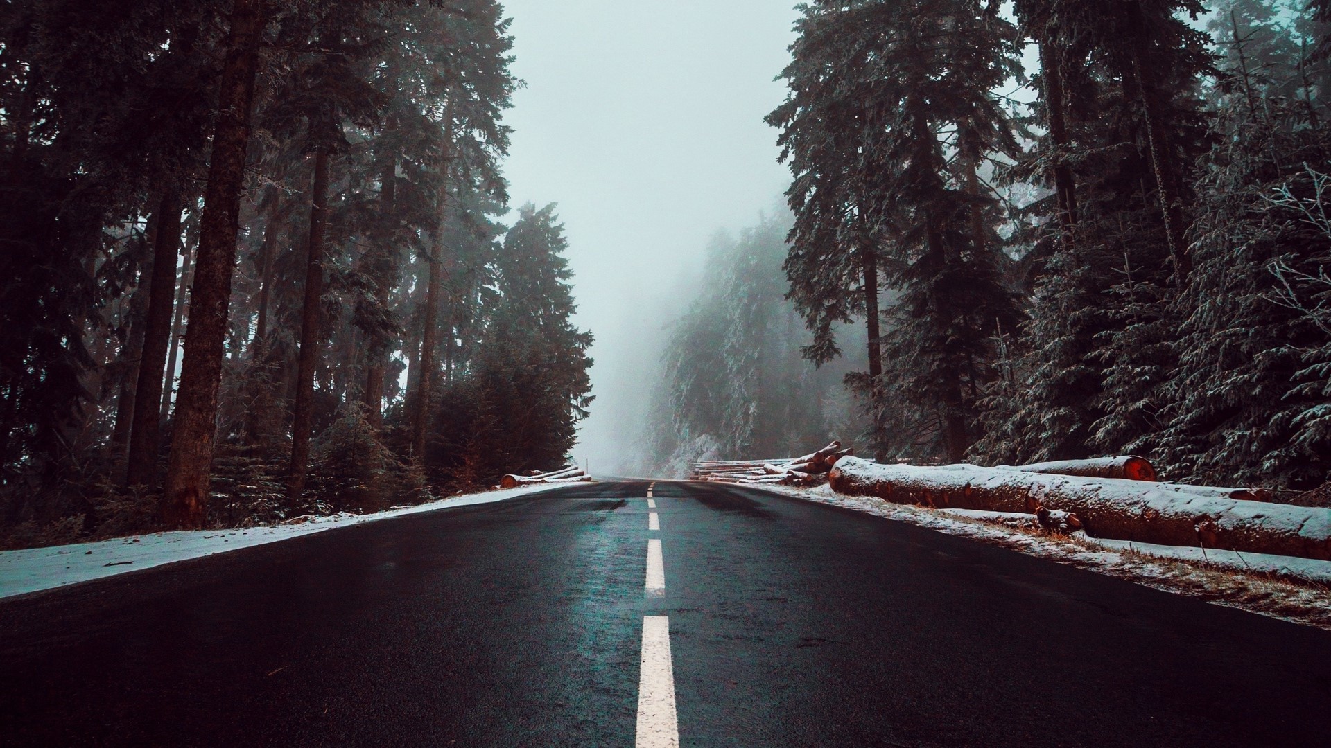 Road through a foggy winter forest with fallen trees HD Wallpaper