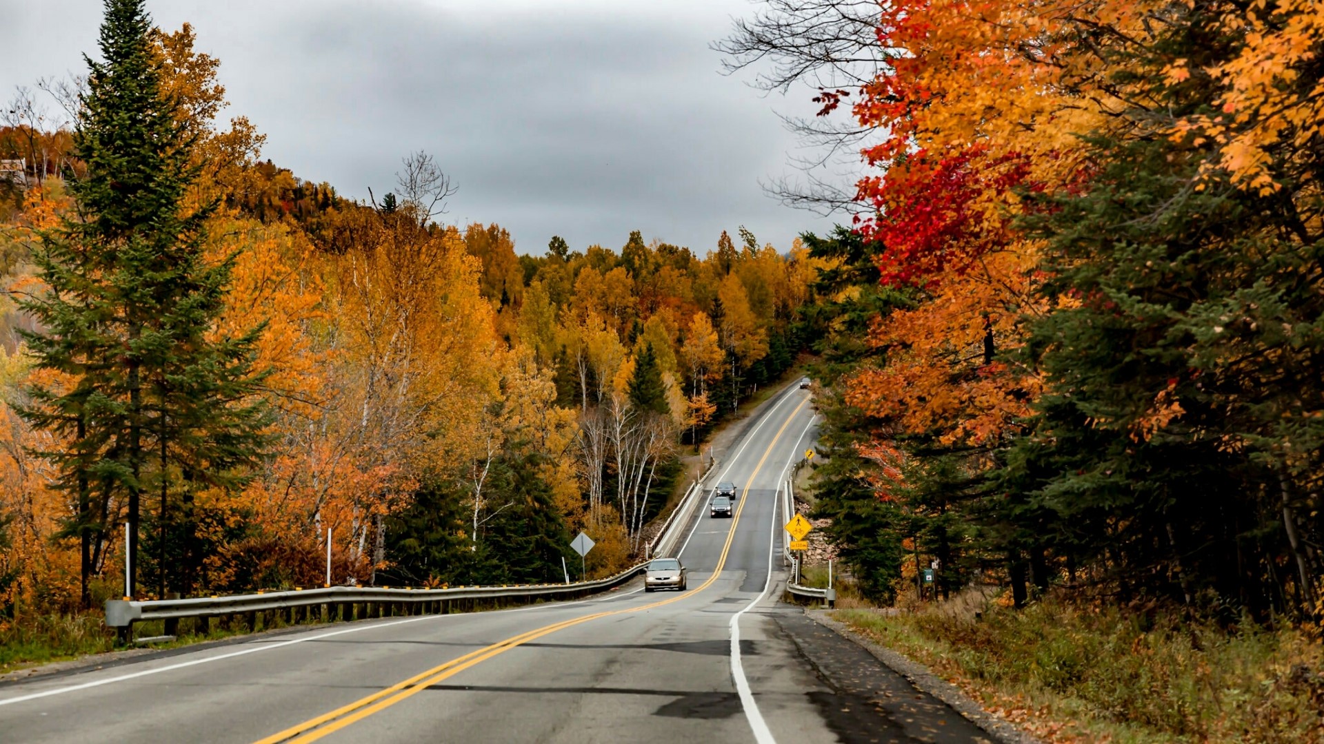 Road through autumn forest with colorful trees HD Wallpaper