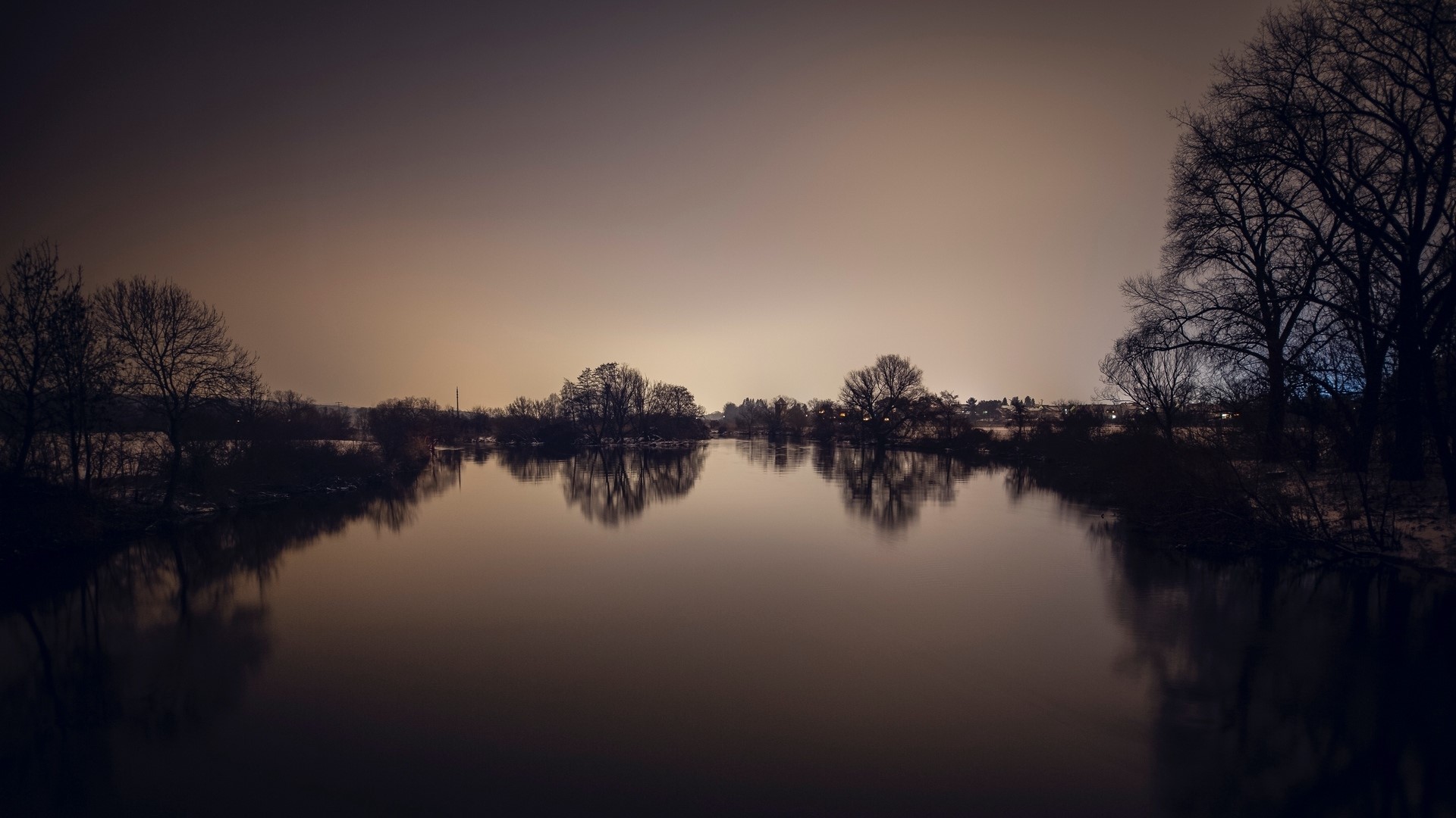 Bare trees reflected in a calm lake at dusk HD Wallpaper