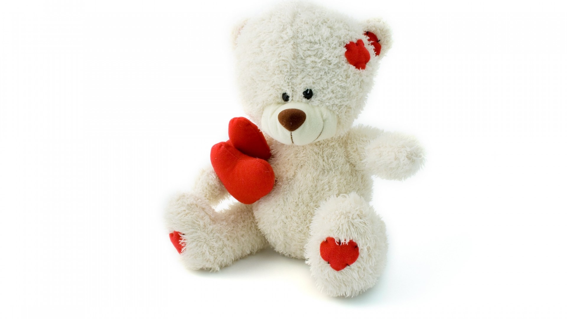 White teddy bear with red hearts HD Wallpaper