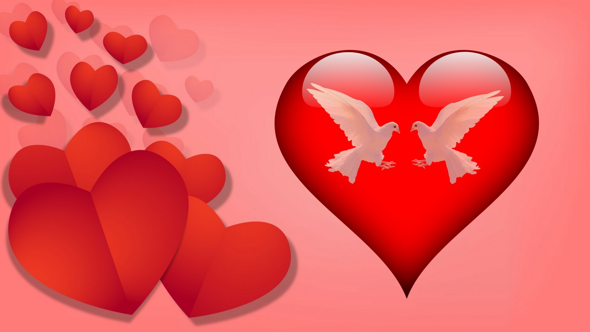 Two white doves inside a red heart with other red hearts HD Wallpaper