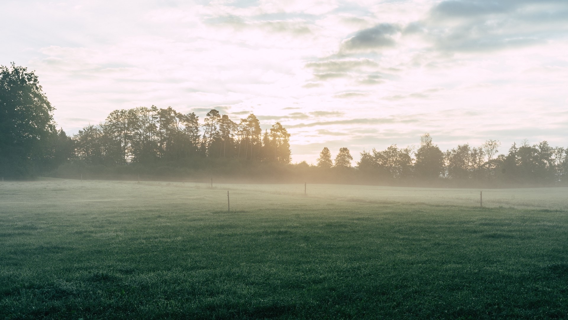Misty Meadow at Sunrise HD Wallpaper