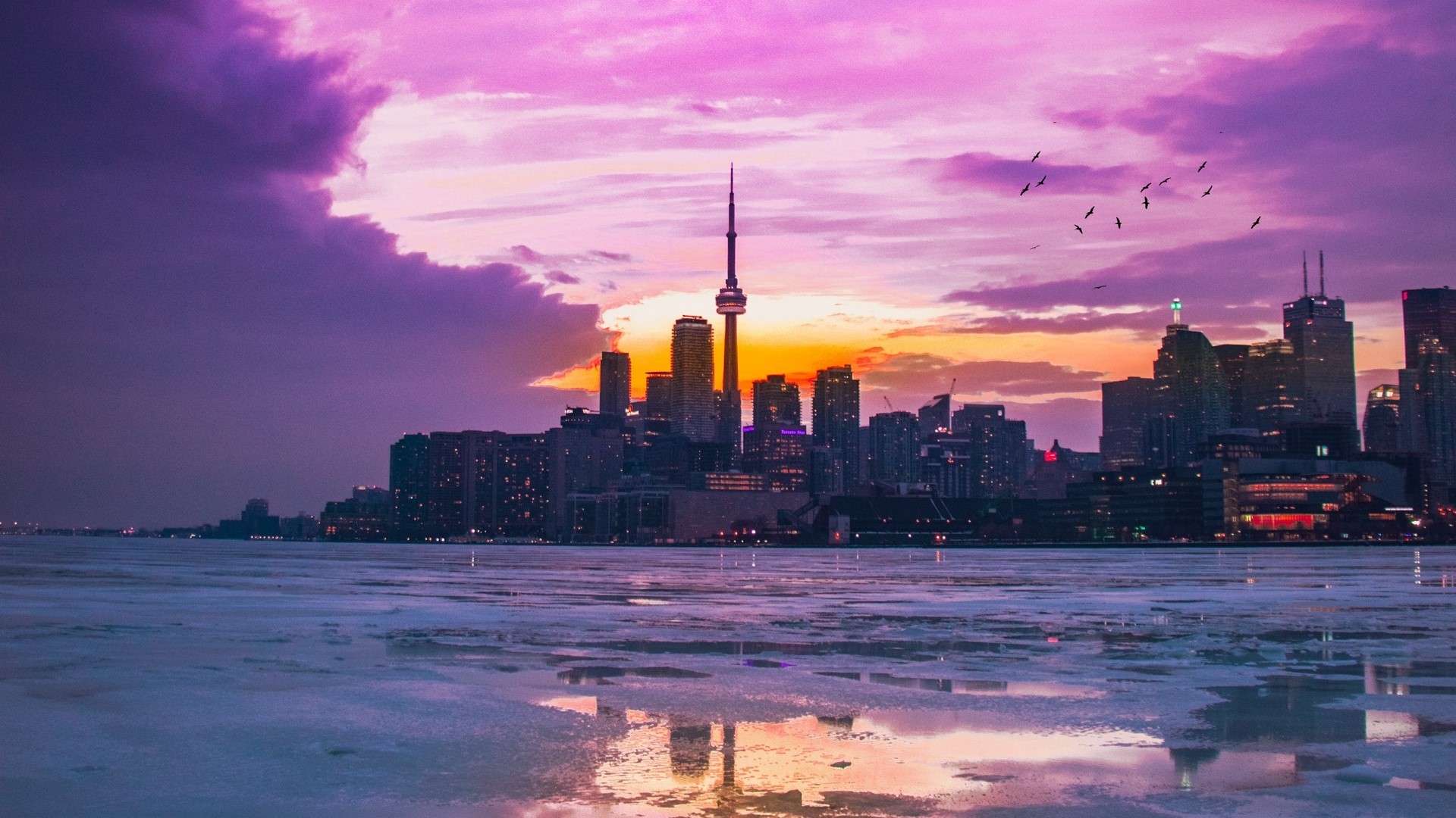 Toronto Skyline at Sunset with CN Tower HD Wallpaper