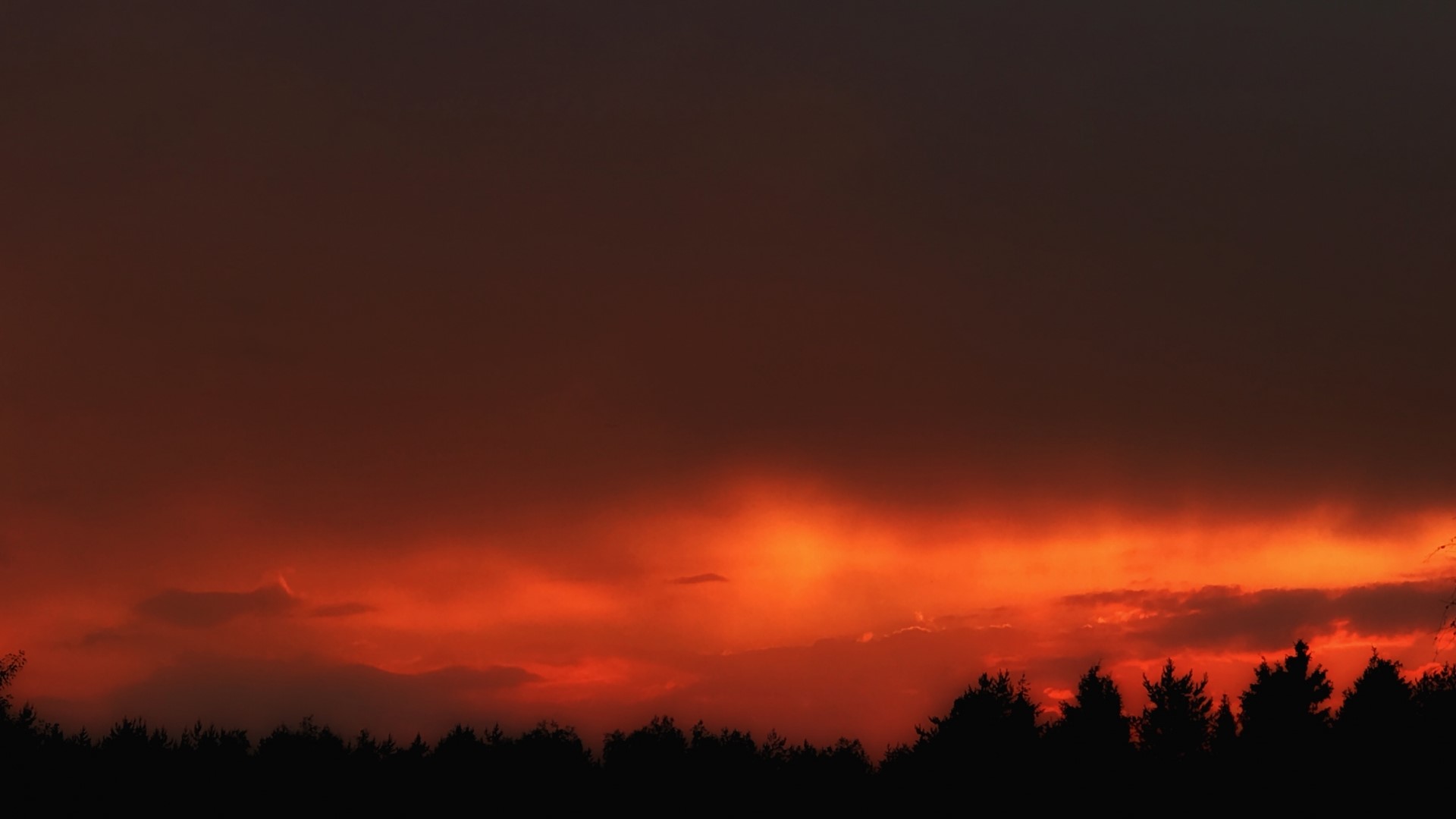Fiery sunset over a silhouetted forest HD Wallpaper