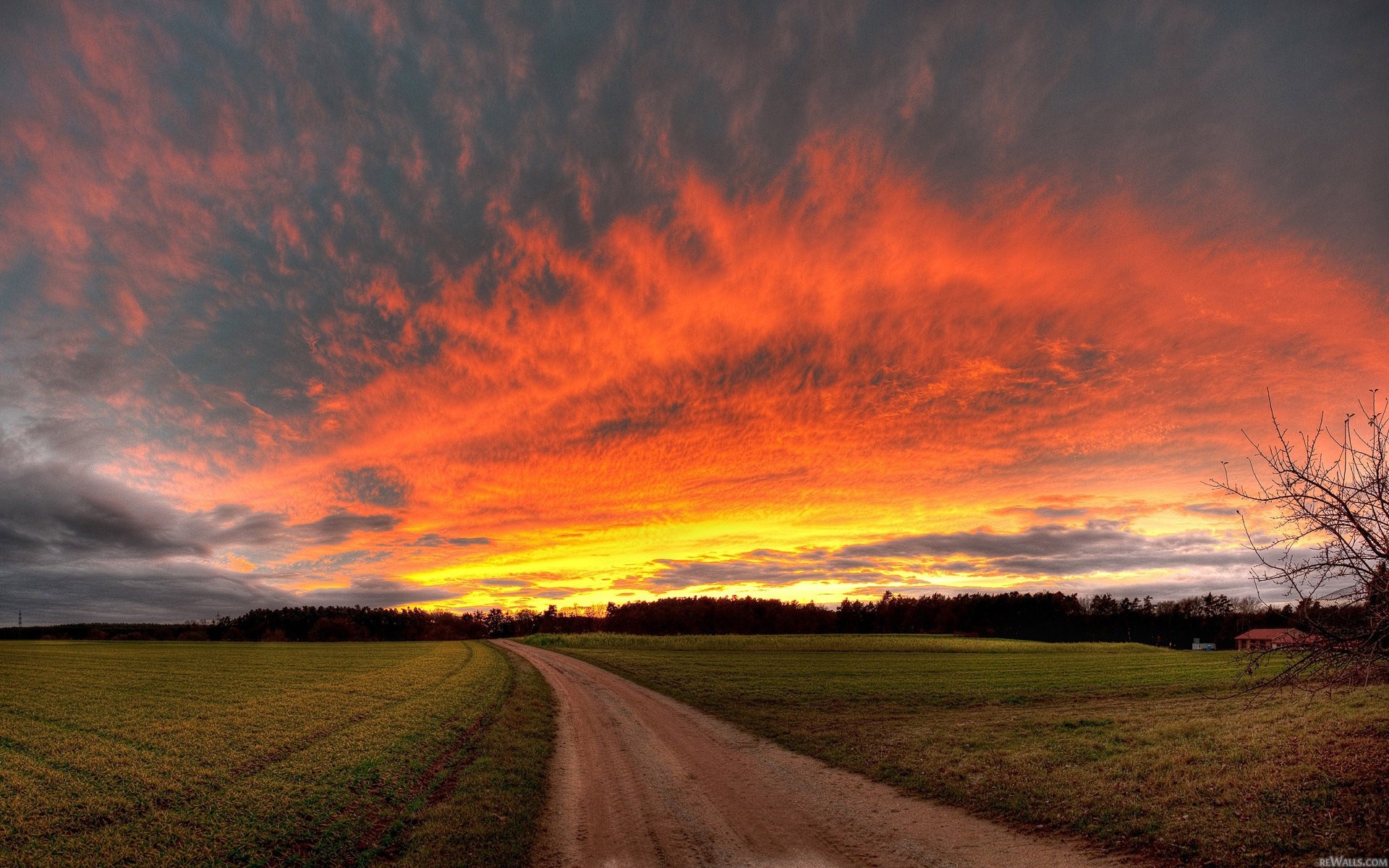 Dirt road through a field at sunset HD Wallpaper