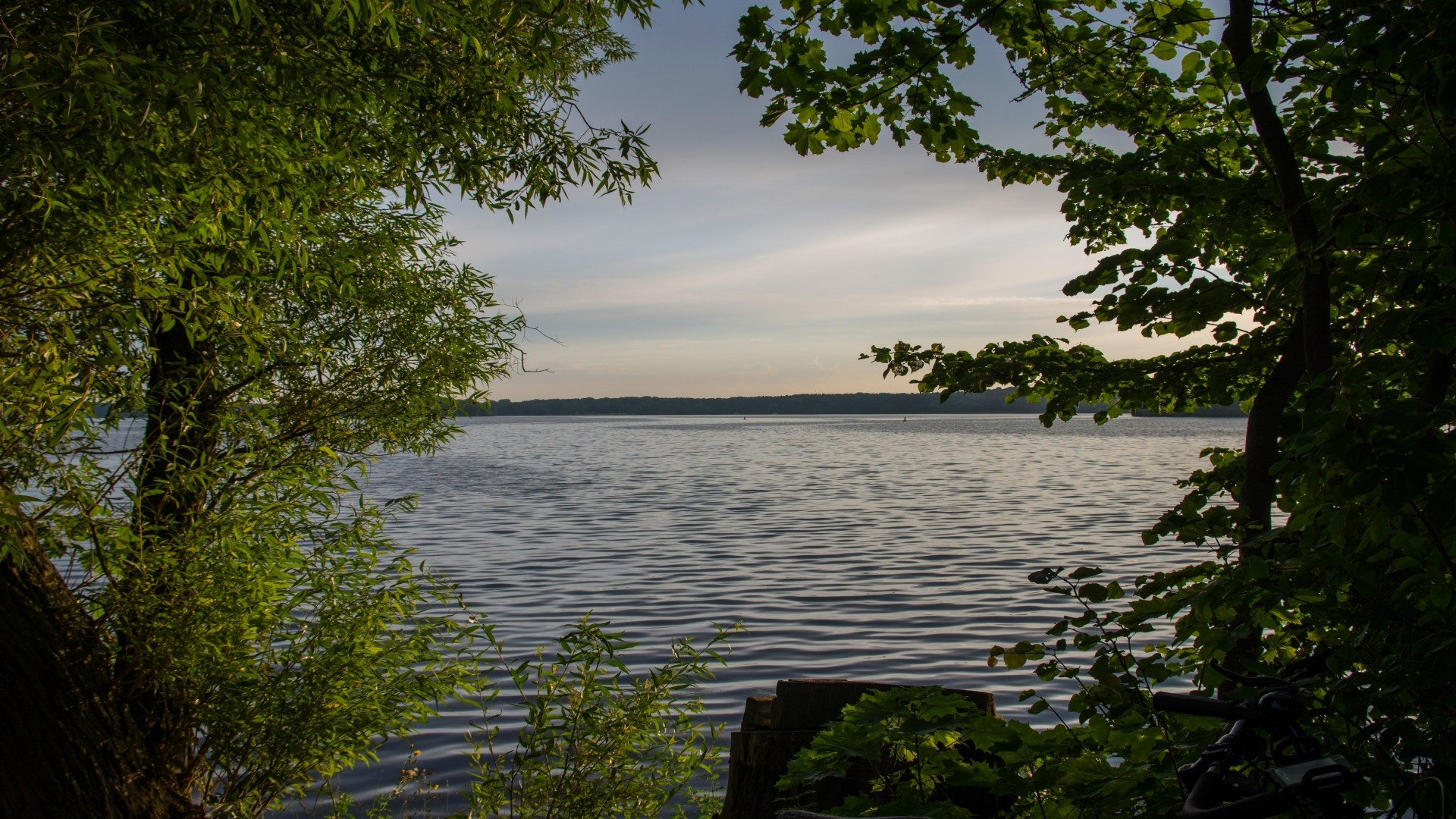 Lake seen through trees HD Wallpaper