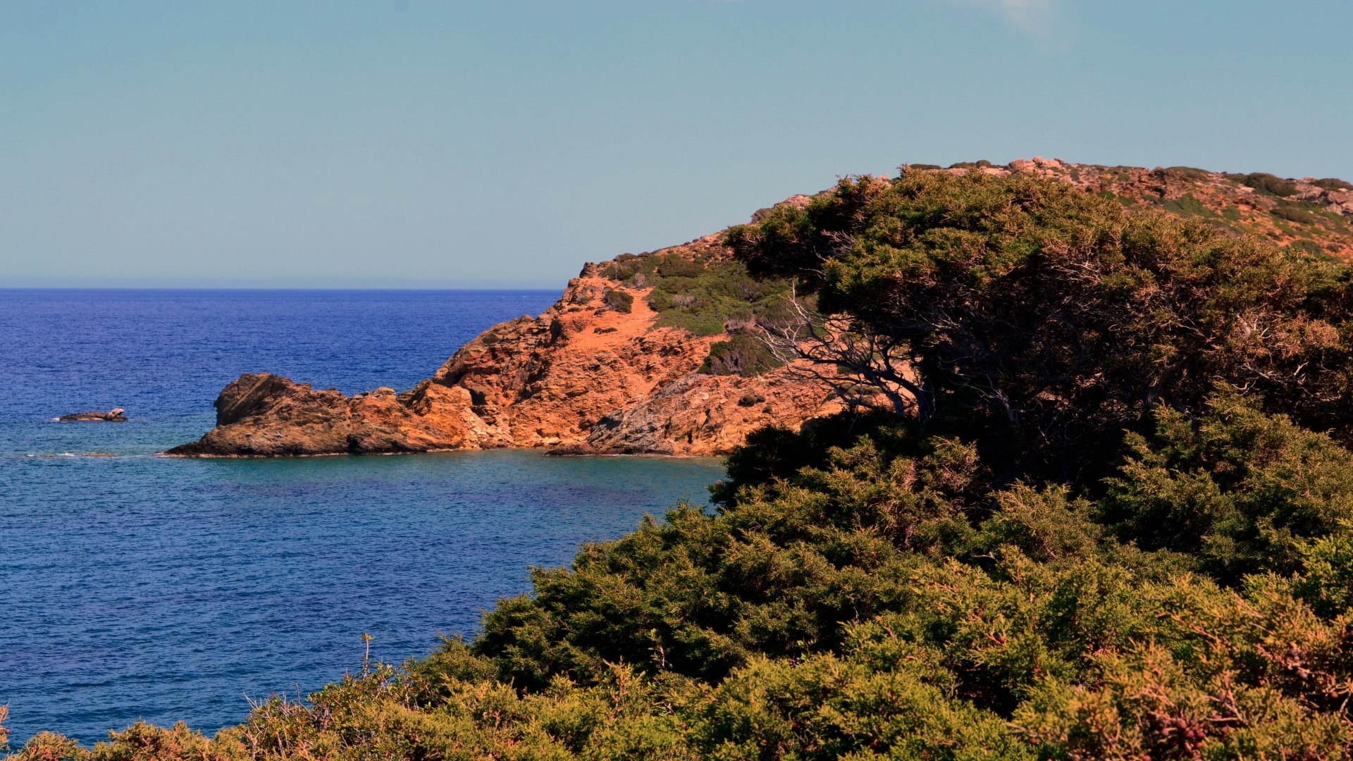 Rocky coast with green trees and blue sea HD Wallpaper