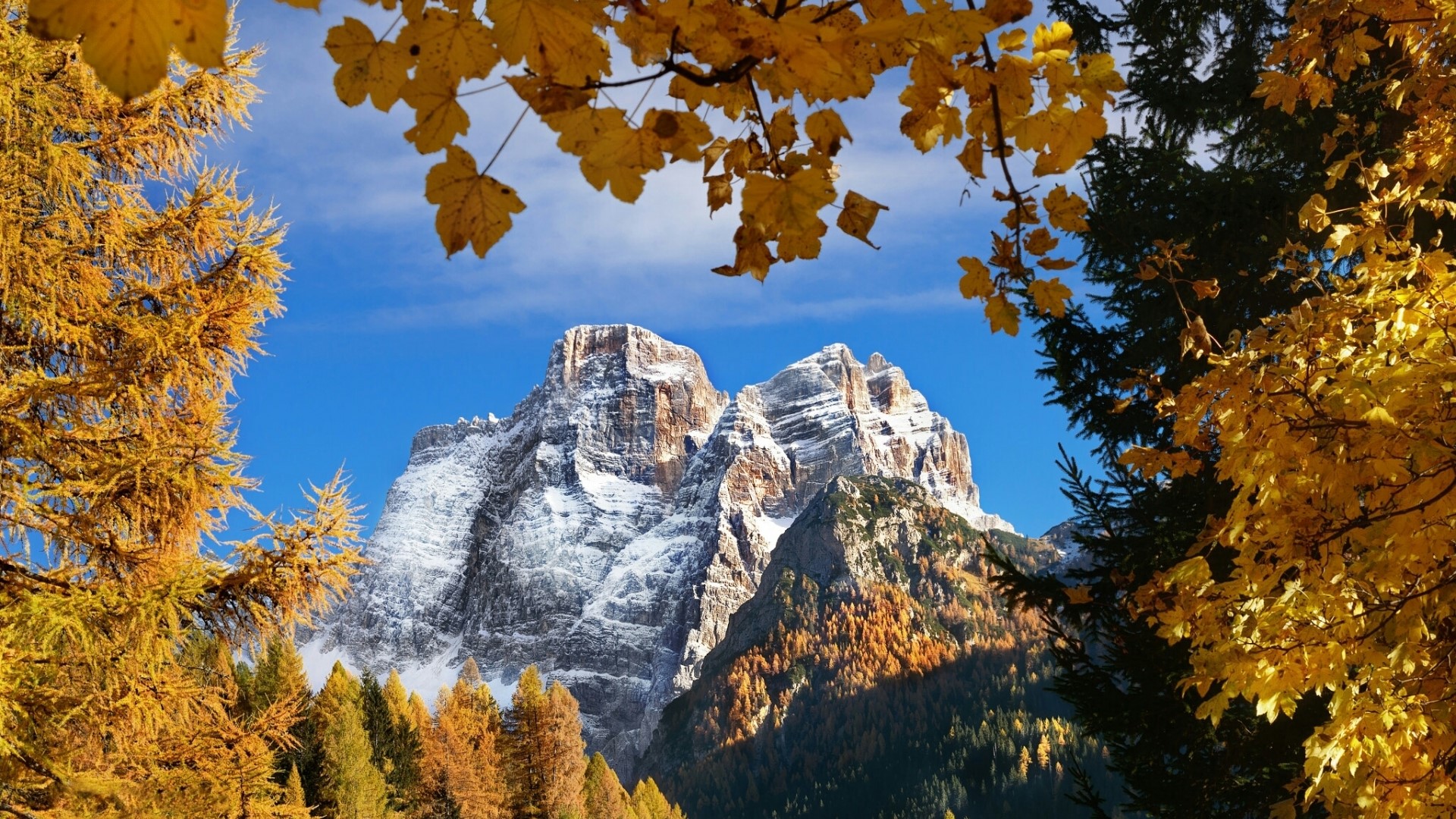 Mountain landscape with autumn trees HD Wallpaper