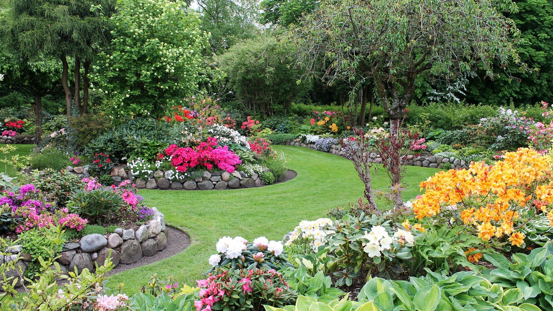 Beautiful garden with blooming flowers and green grass HD Wallpaper
