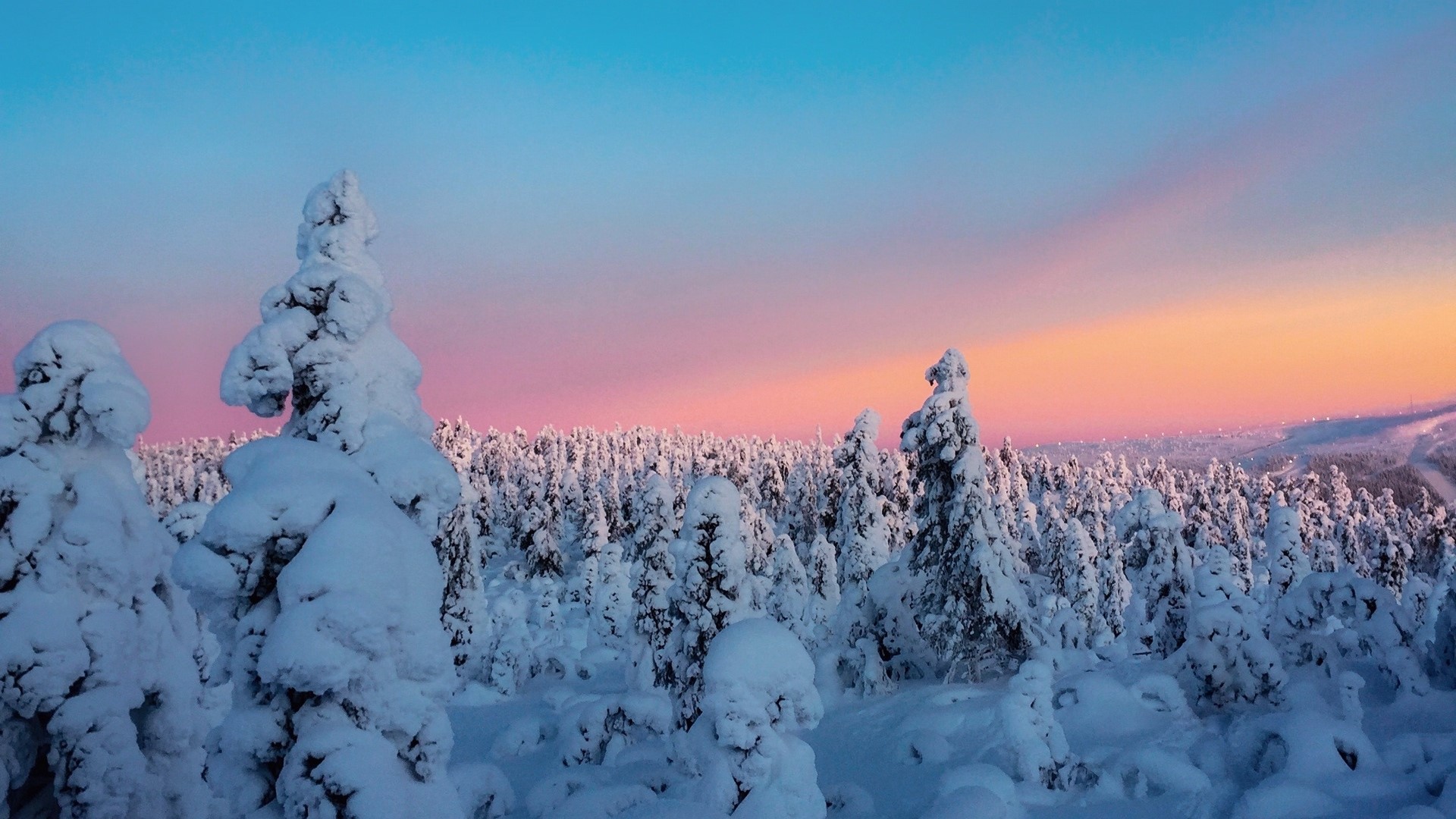 Snow-covered trees at sunset HD Wallpaper