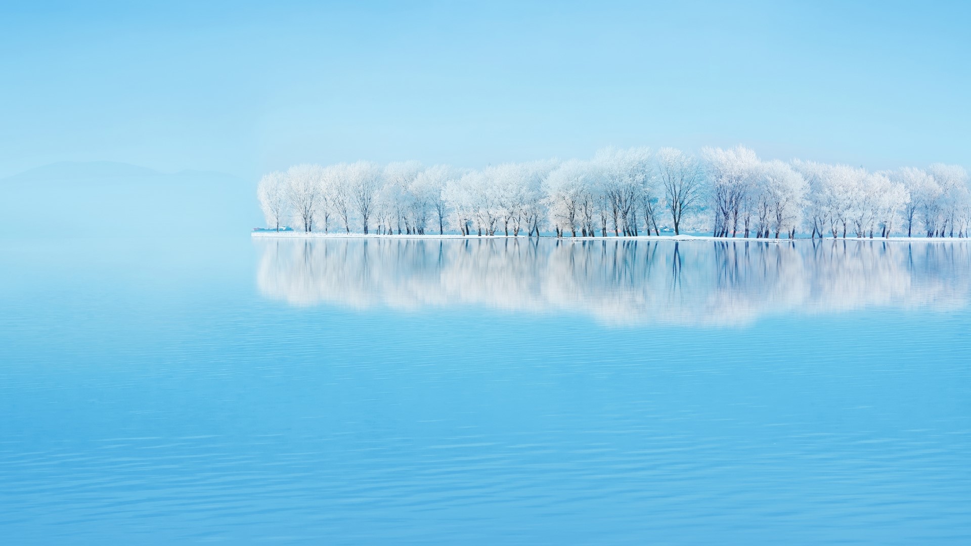 Winter landscape with frosted trees reflected in water HD Wallpaper
