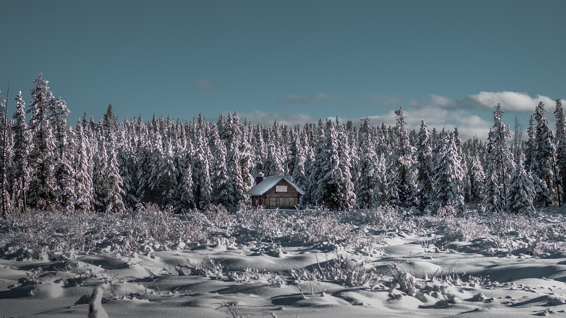 Small house in a snow-covered forest HD Wallpaper