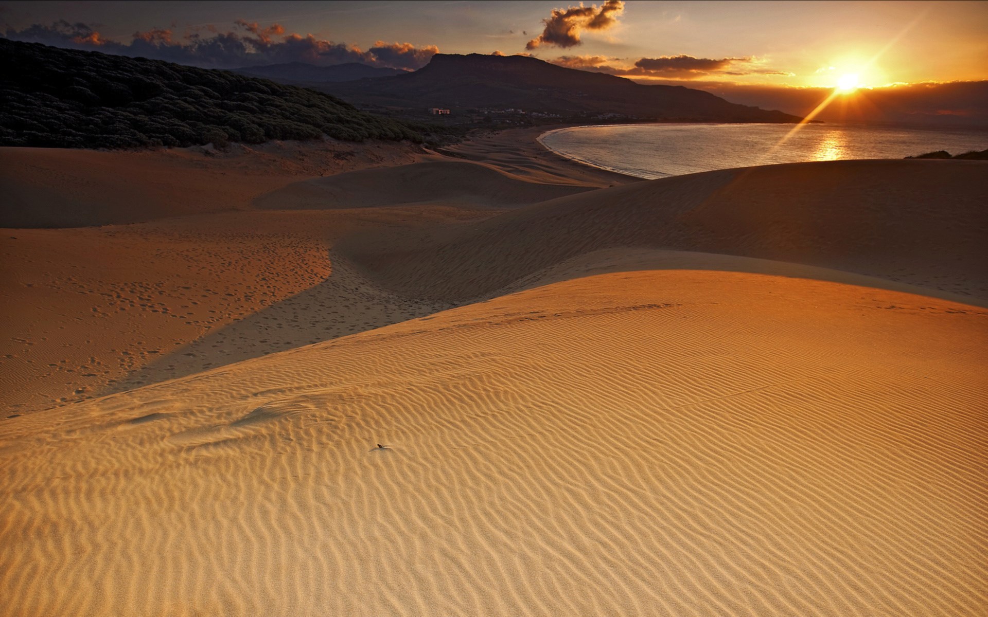 Desert dunes by the sea at sunset HD Wallpaper