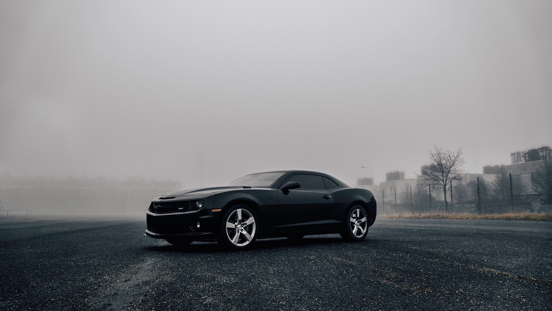 Black Chevrolet Camaro on a foggy day HD Wallpaper