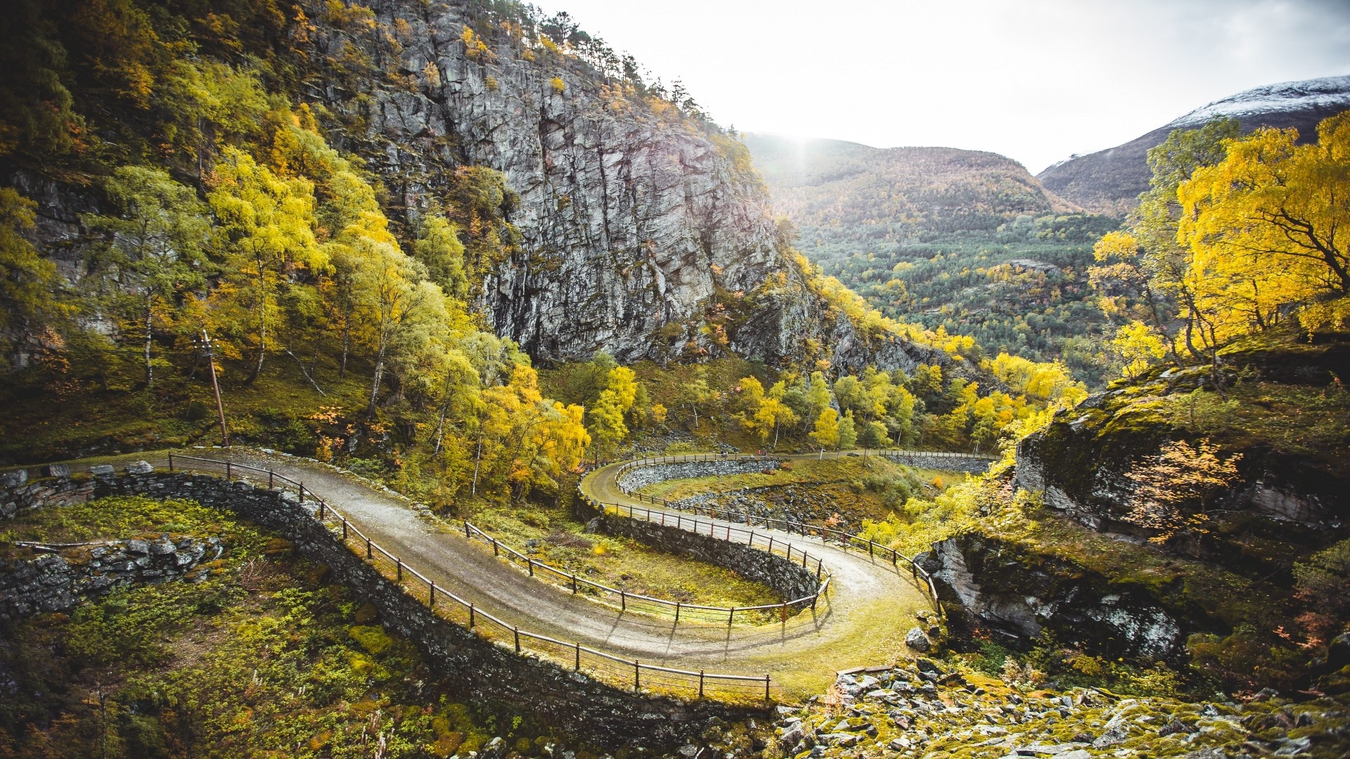Winding mountain road with autumn trees HD Wallpaper