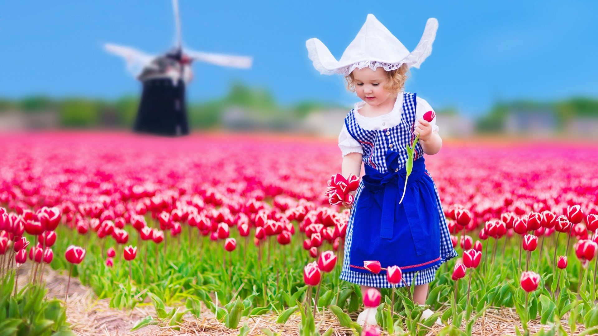 Girl in Dutch costume in tulip field with windmill HD Wallpaper