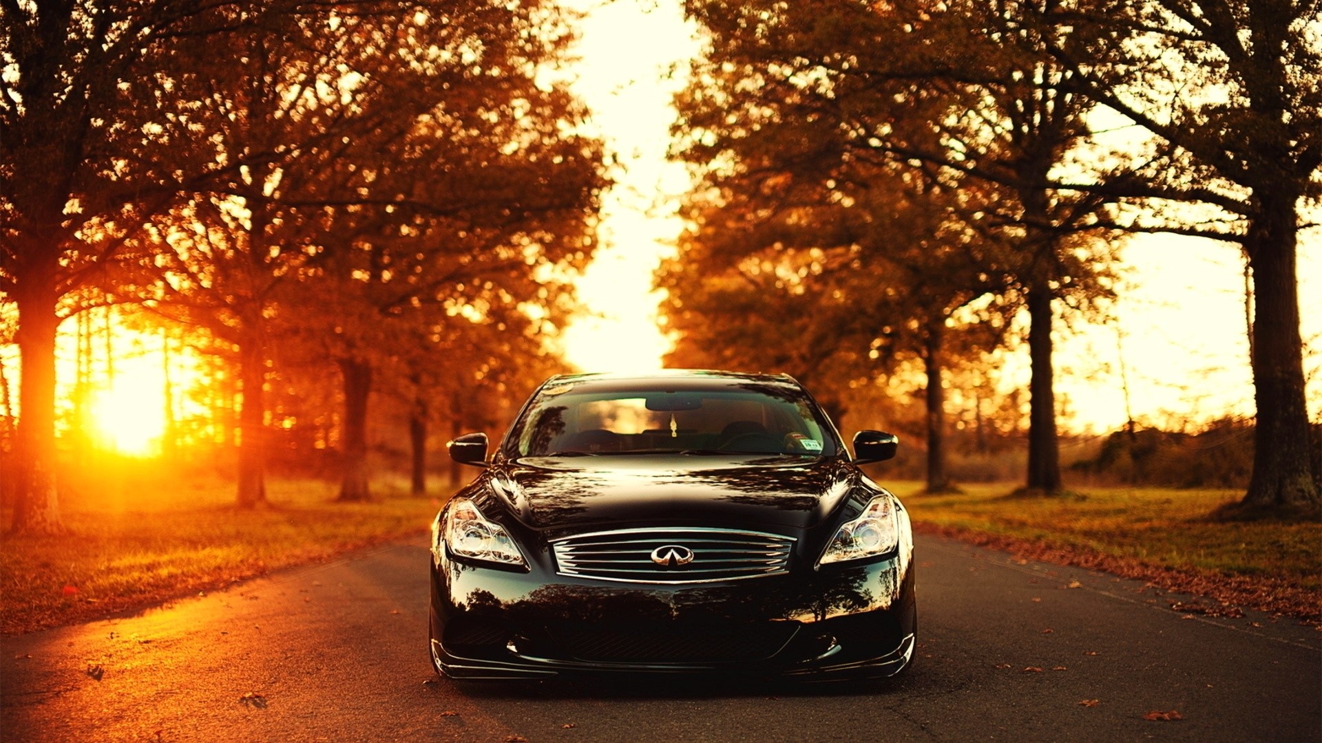 Black Infiniti G37 on a road during sunset HD Wallpaper