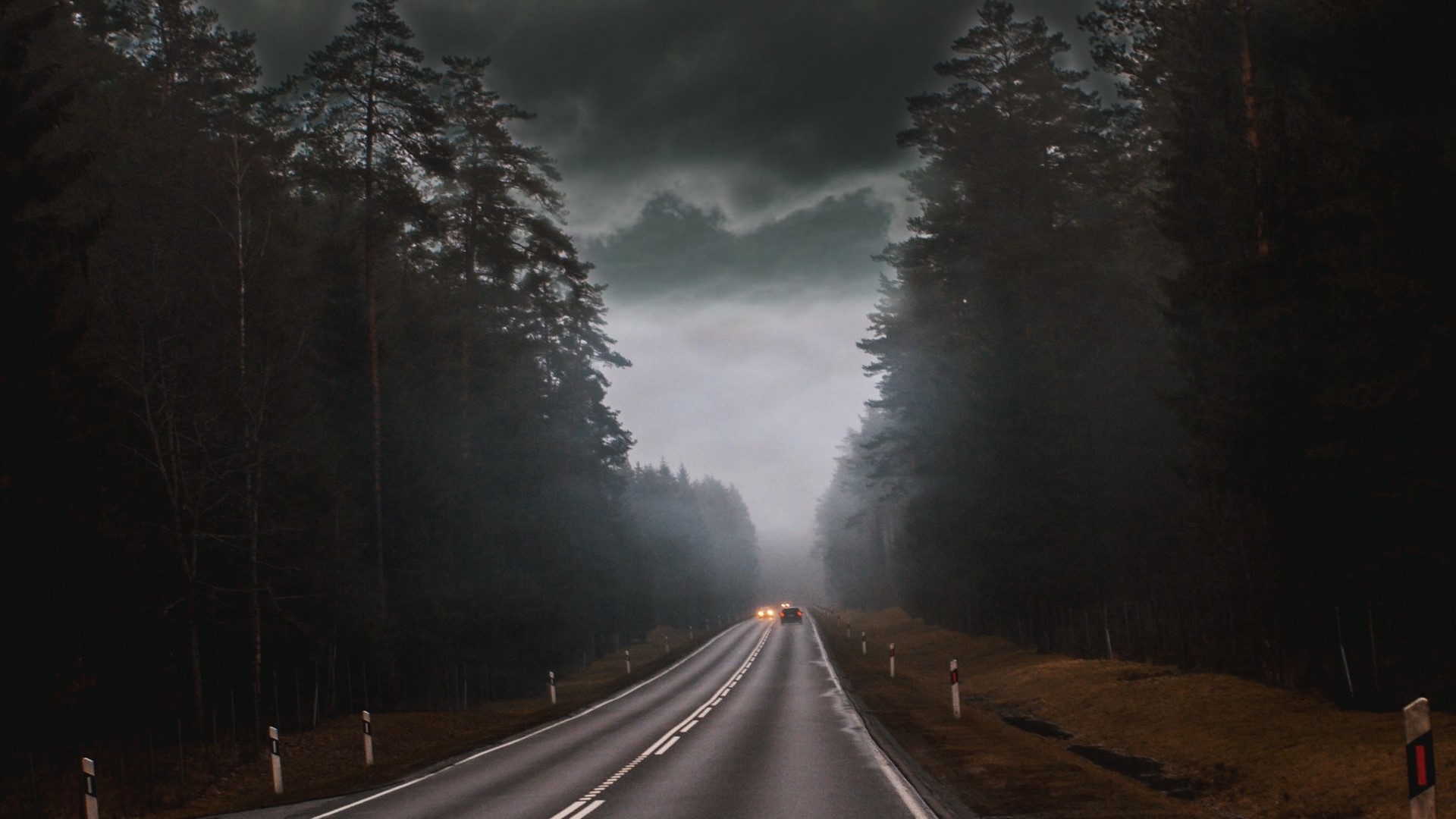 Road through a dark forest with fog HD Wallpaper