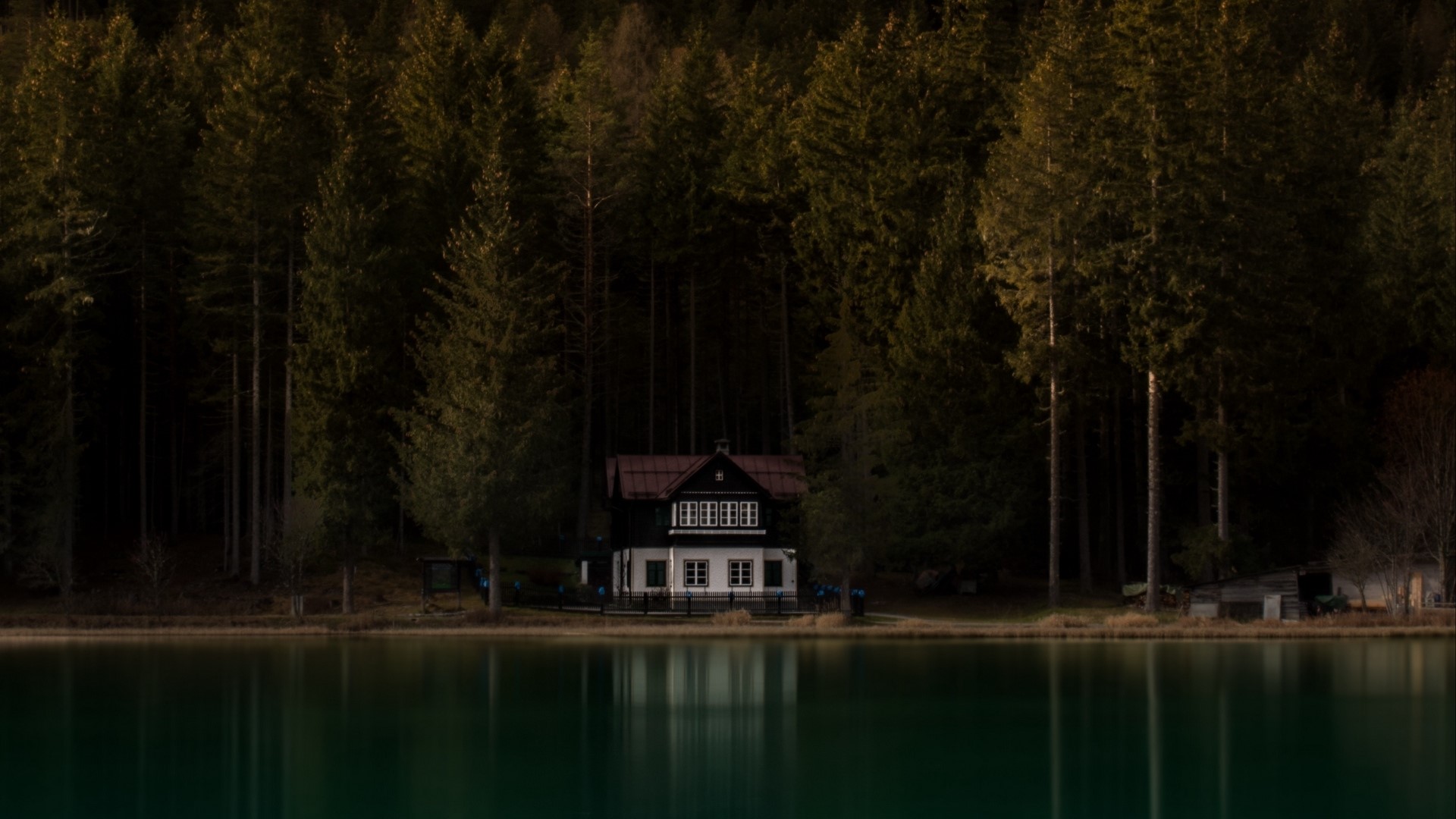 House by the lake in a forest HD Wallpaper