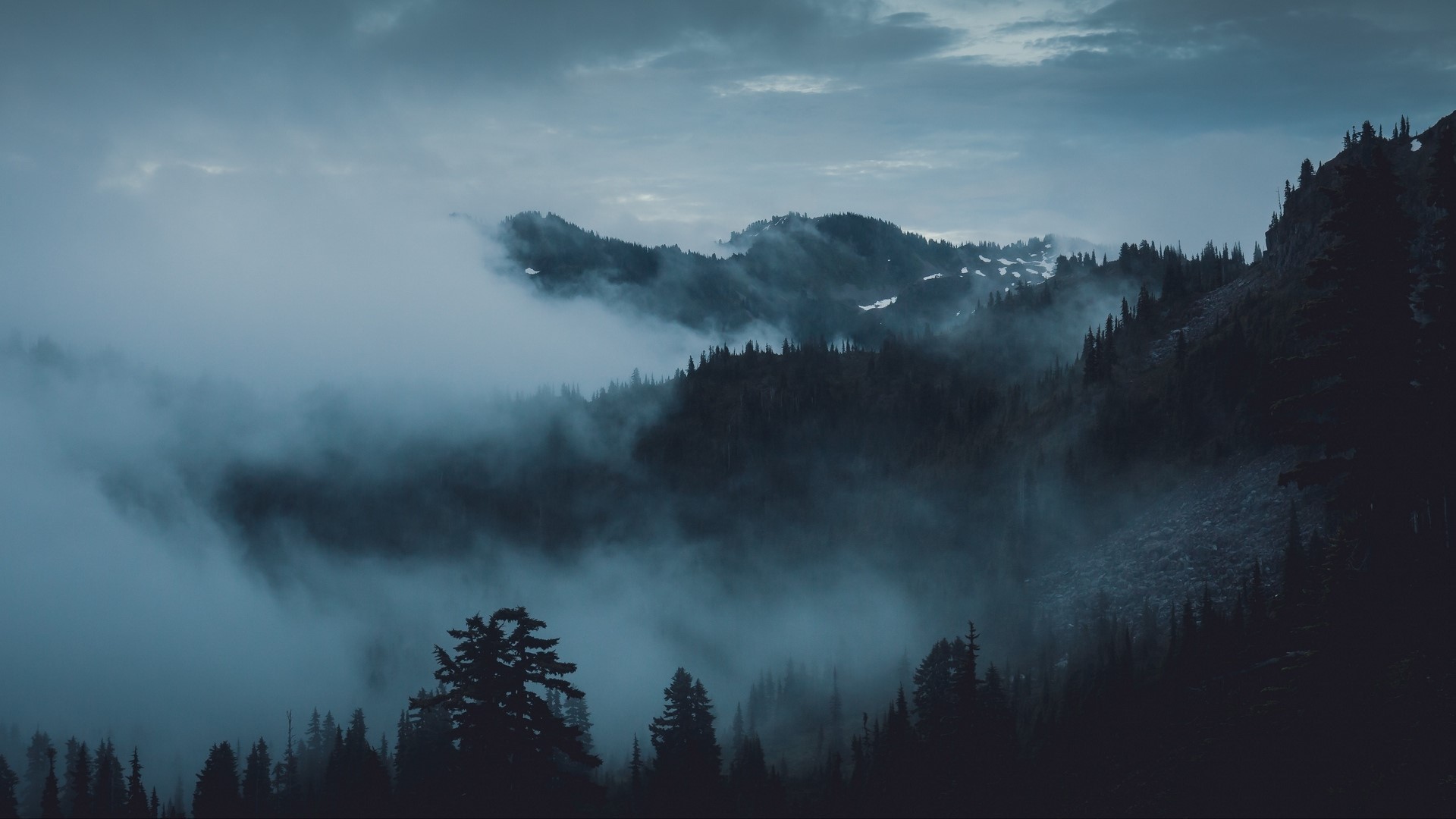 Misty mountains and evergreen forest in Olympic National Park HD Wallpaper