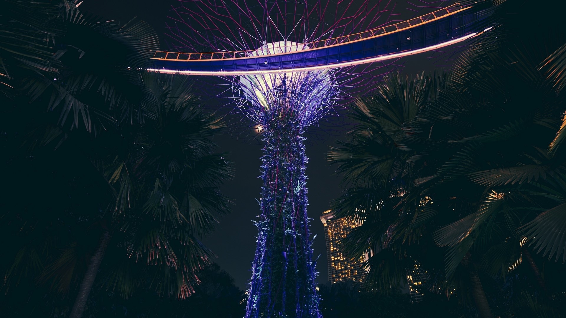 Supertrees and Skyway at Gardens by the Bay, Singapore at Night HD Wallpaper