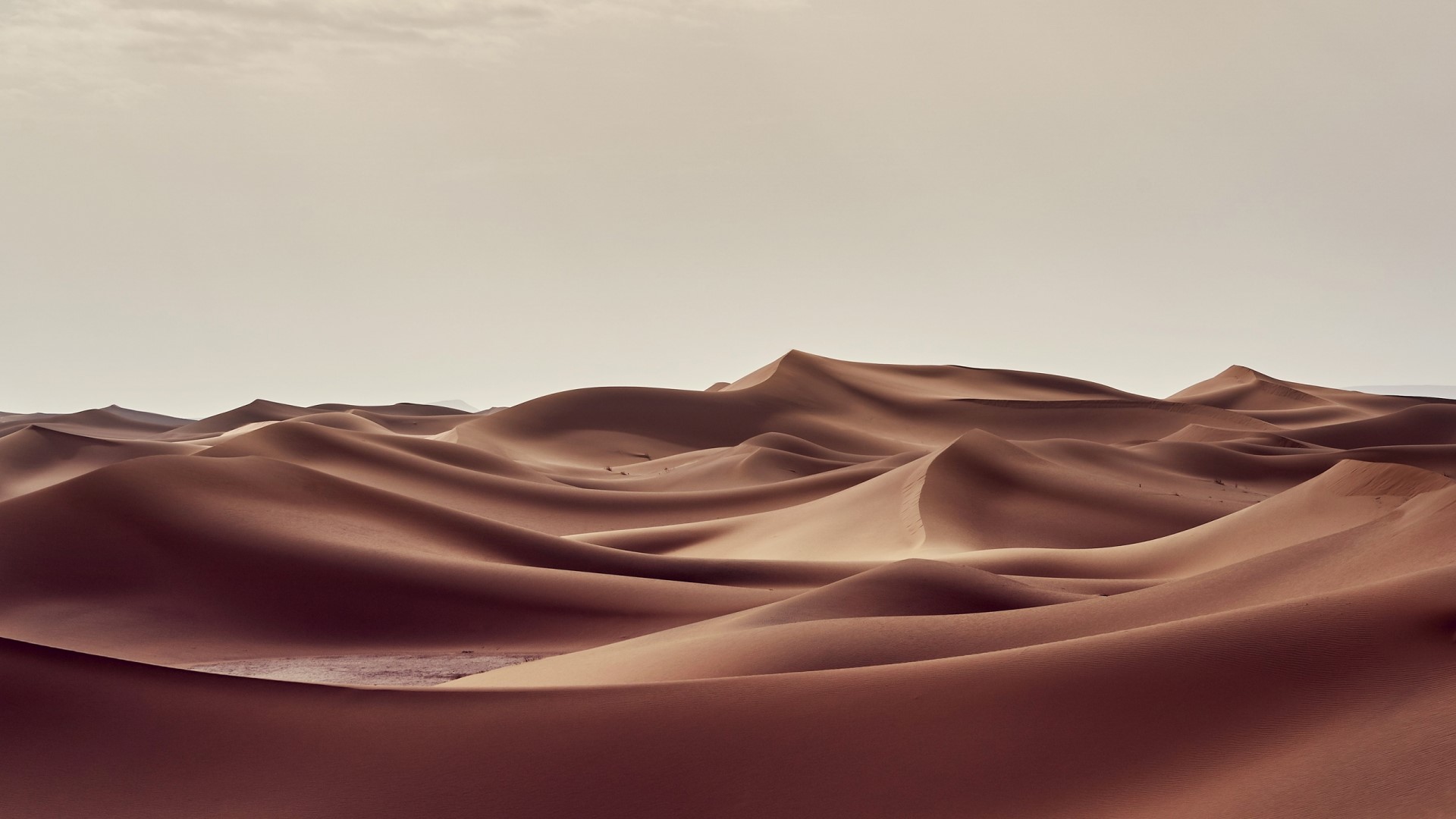 Desert sand dunes under a pale sky HD Wallpaper