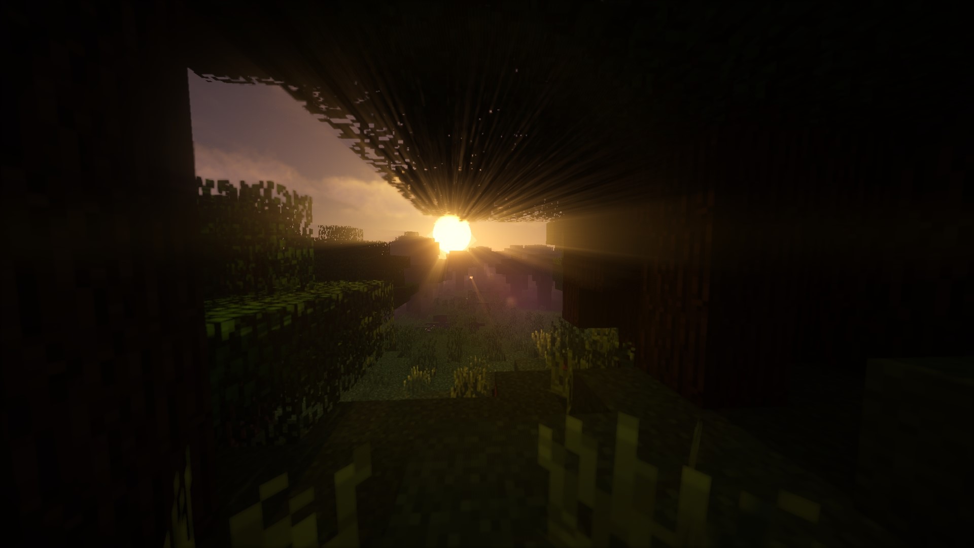 Minecraft sunrise through dark trees HD Wallpaper