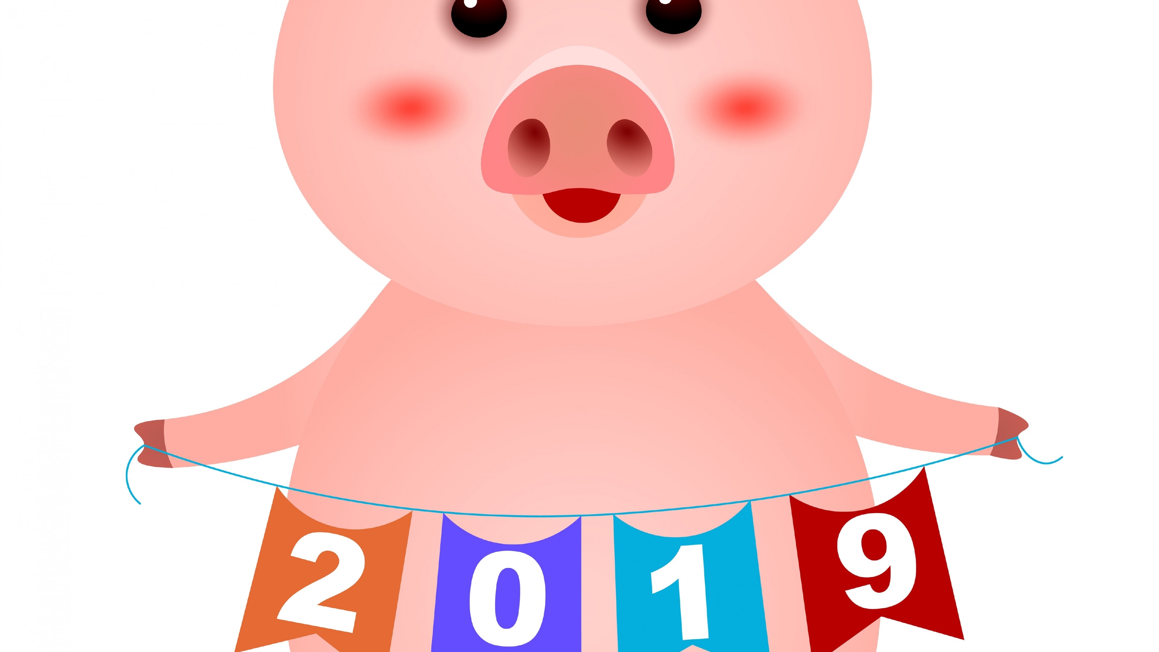 Pig holding 2019 banner HD Wallpaper
